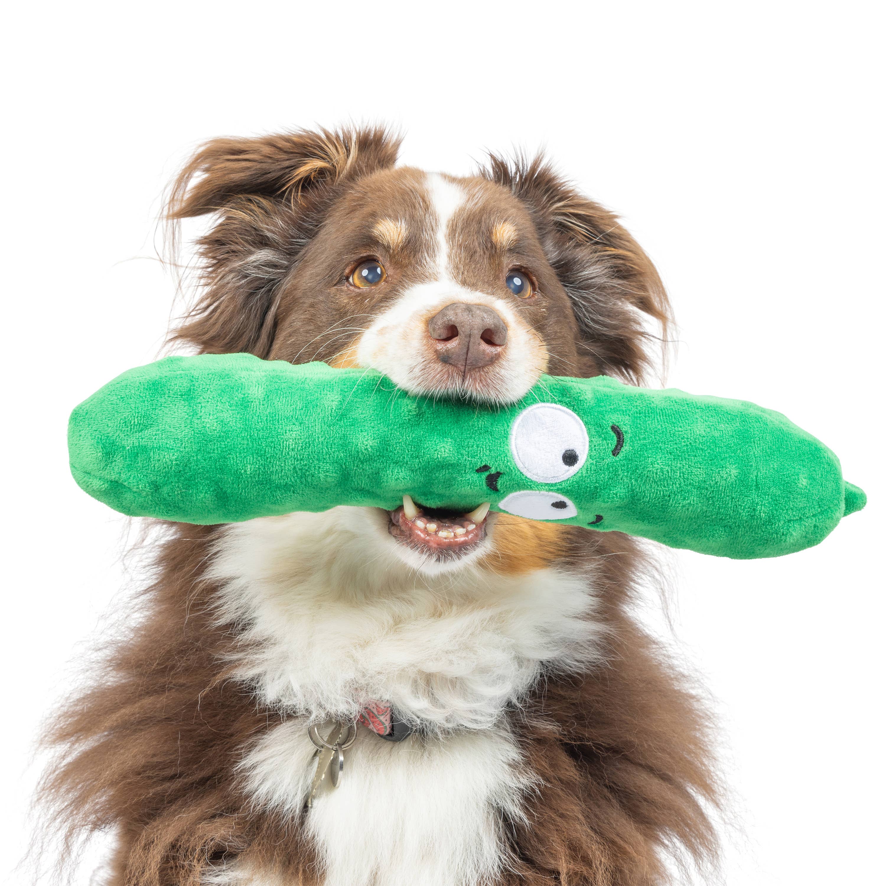 Huxley & Kent - Fetchies® Dell Pickle Dog Toy: Small