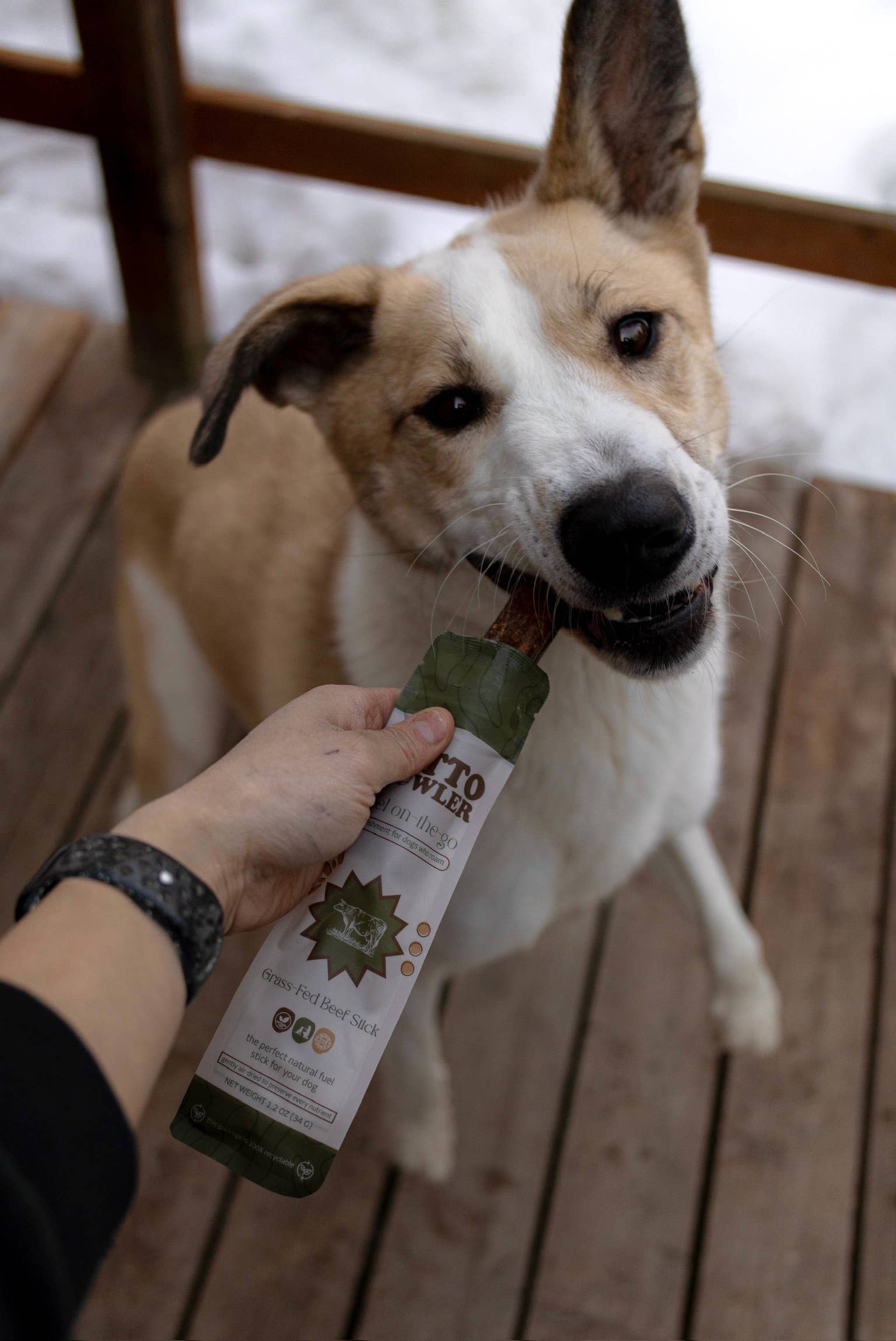 Litto Howler | Grass Fed Beef Stick
