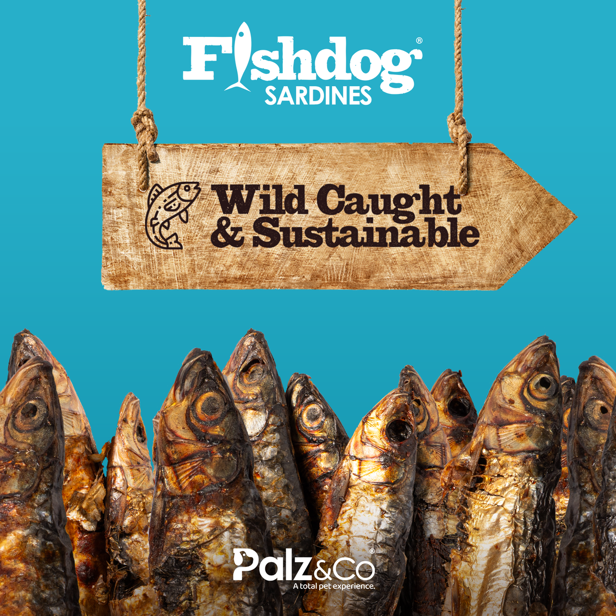 Palz&Co | Fishdog Sardines (2.5oz)