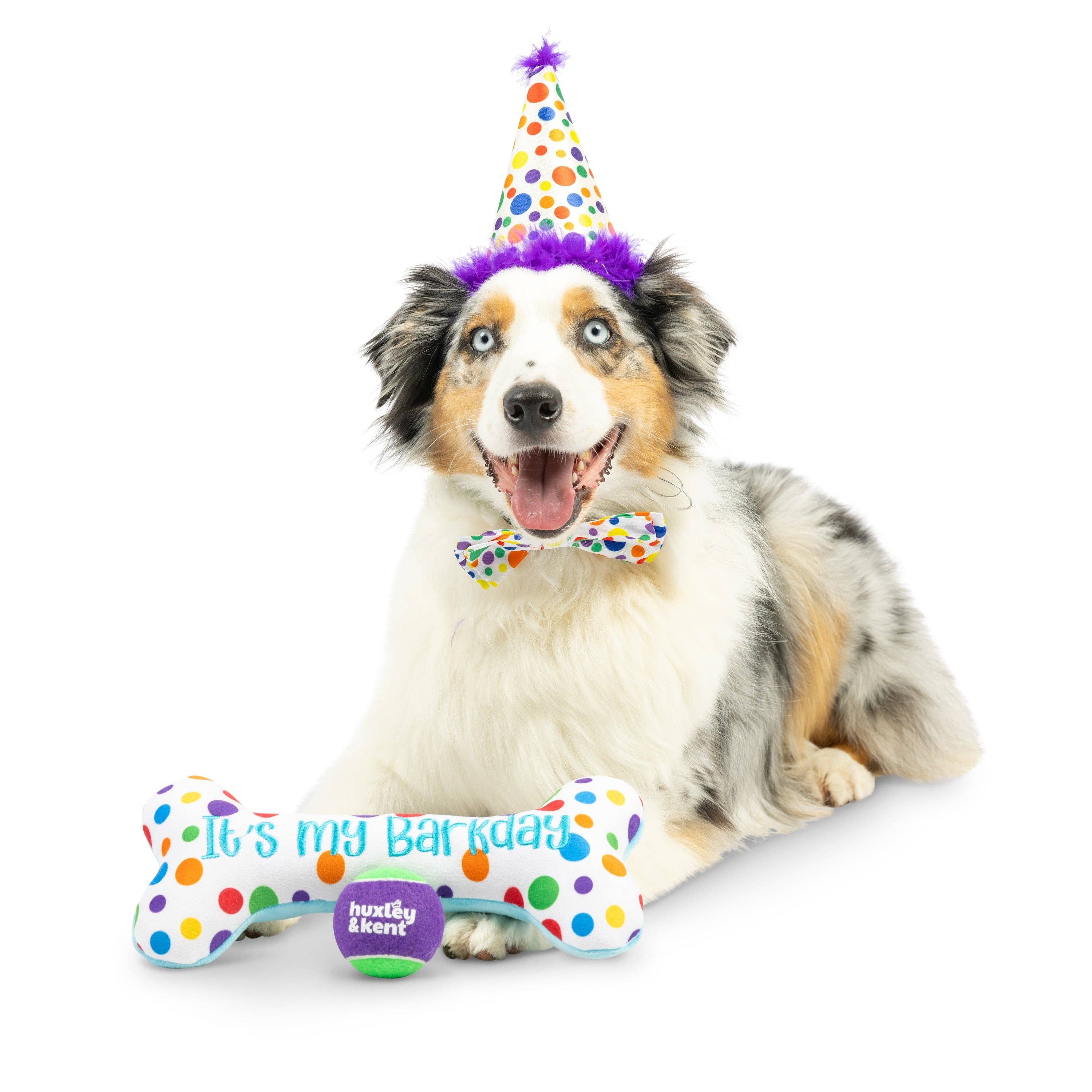 Huxley & Kent - Happy Barkday Celebration Box (Large)