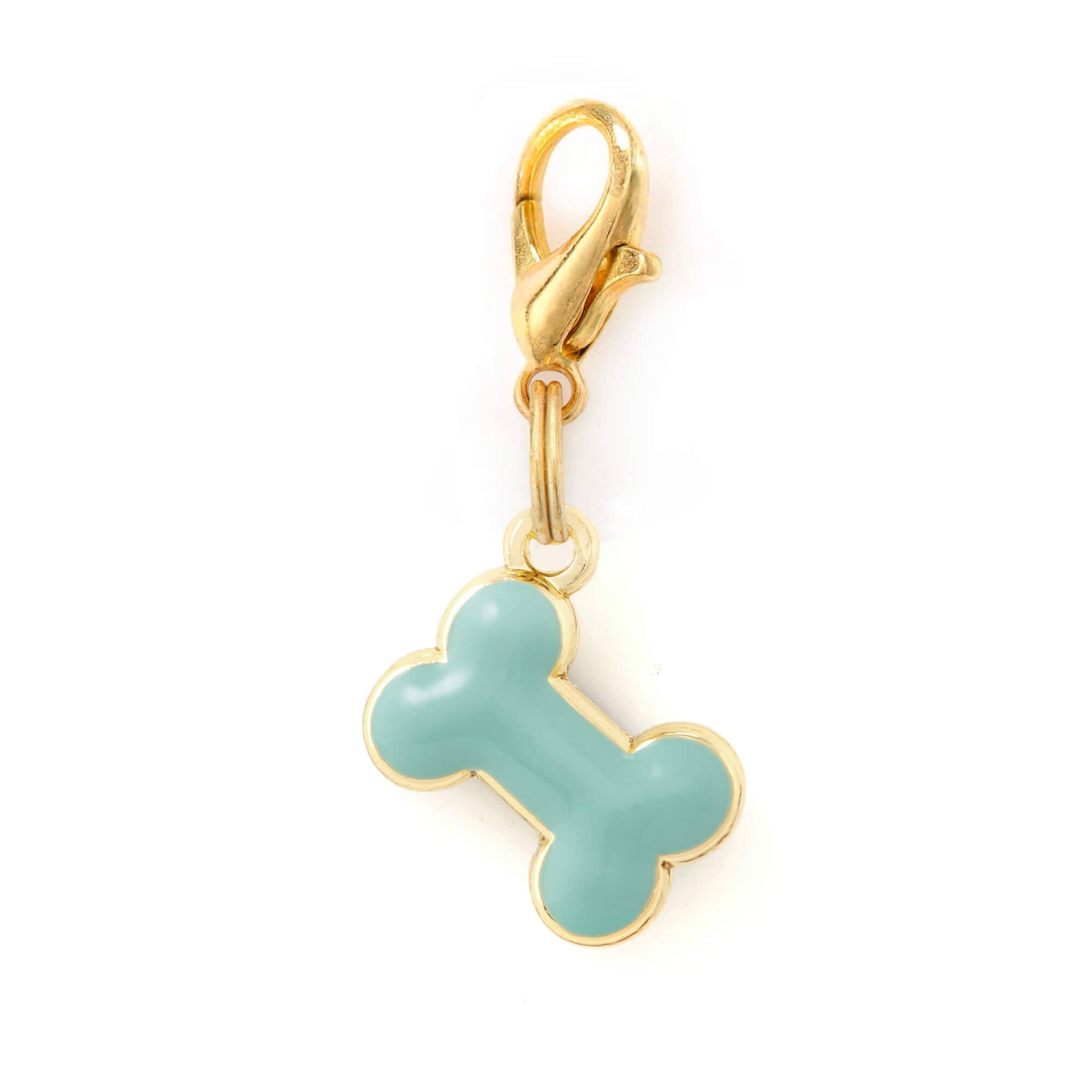 The Foggy Dog - Blue Bone Collar Charm