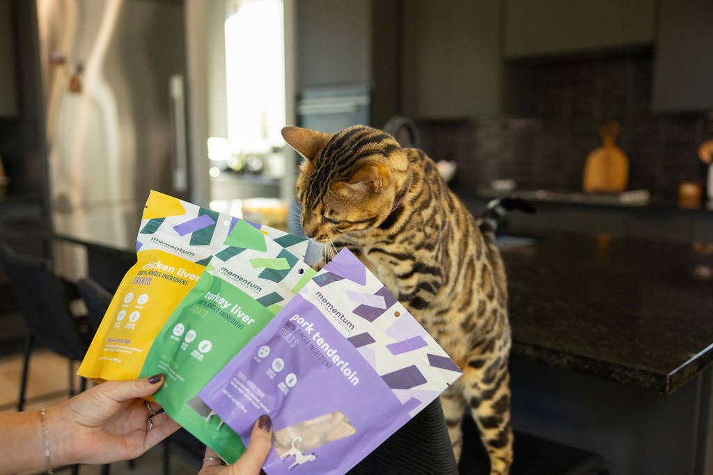 Momentum Carnivore Nutrition | Freeze-Dried Pork Tenderloin Treats for Dogs & Cats (3.5 oz)