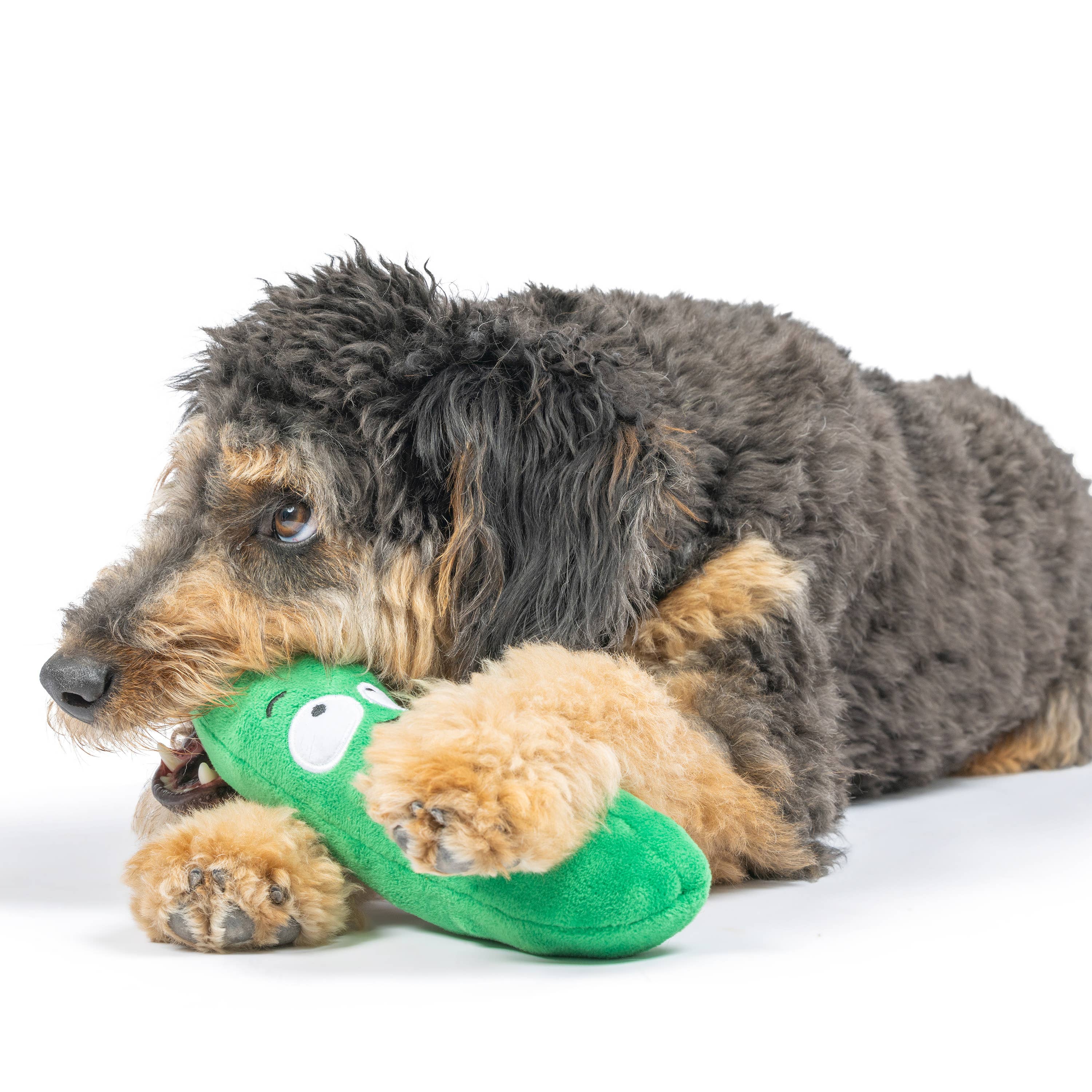 Huxley & Kent - Fetchies® Dell Pickle Dog Toy: Large