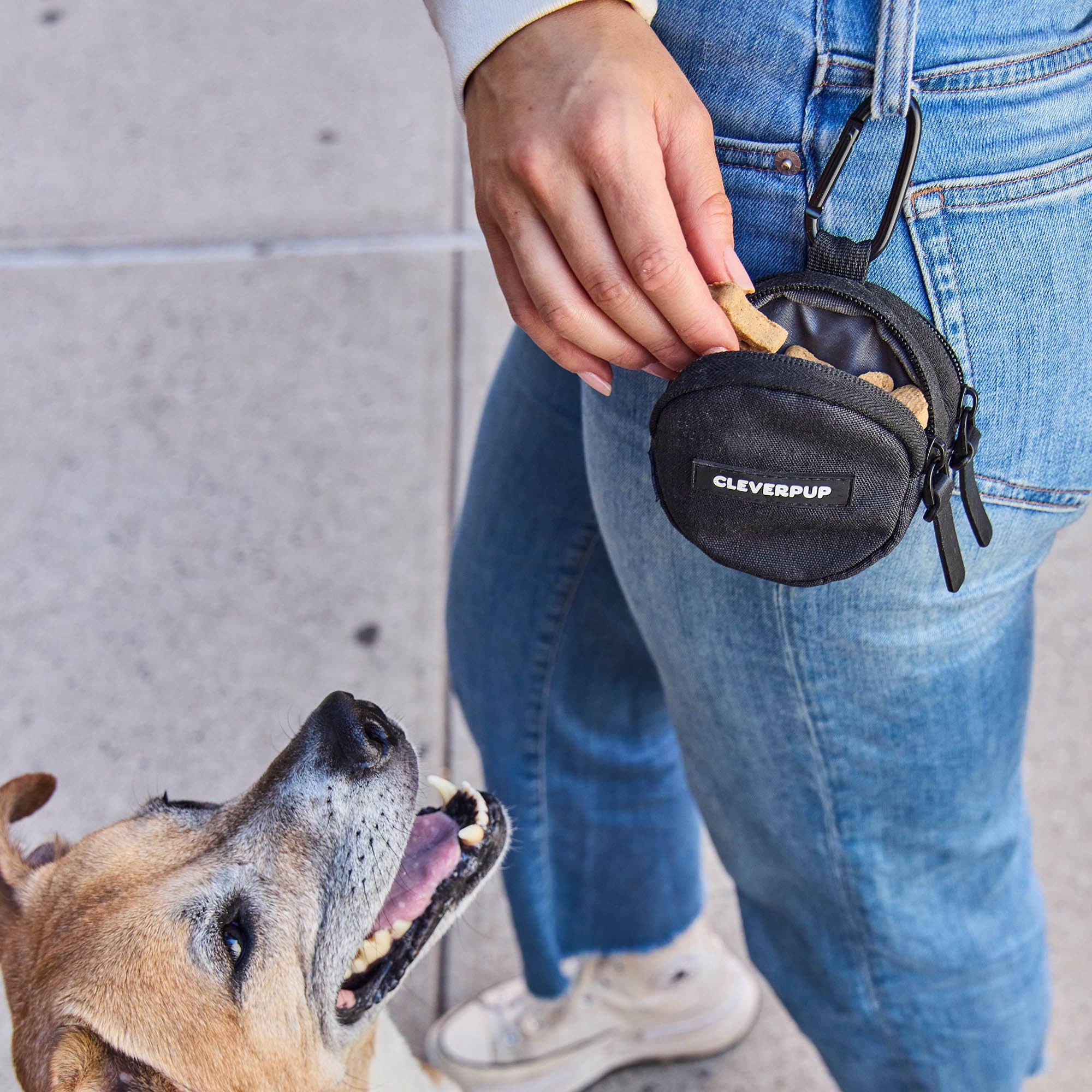 Cleverpup - Snackpack Double Insulated Dog Treat Pouch