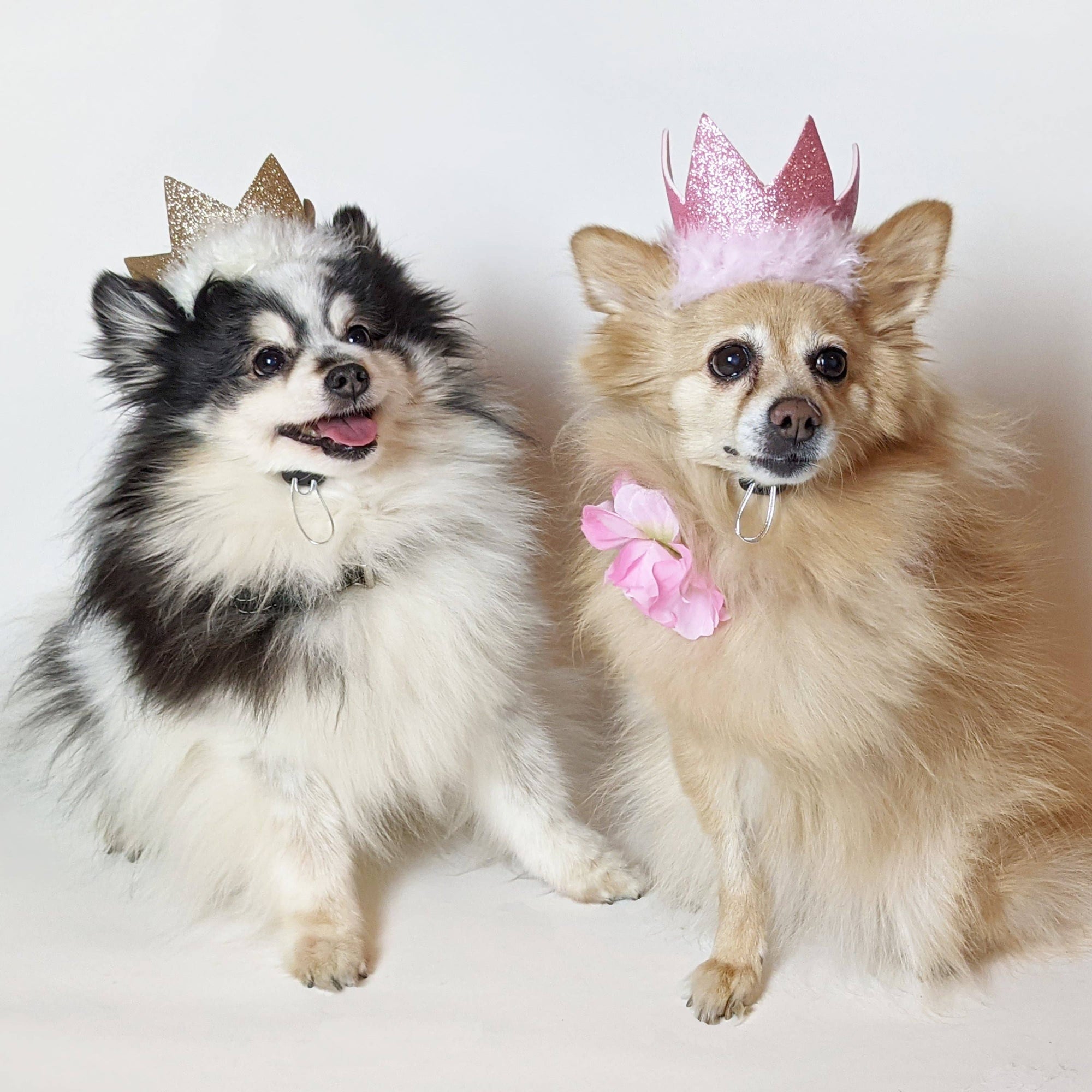 Huxley & Kent - Party Crown Gold with SnugFit® (Small)