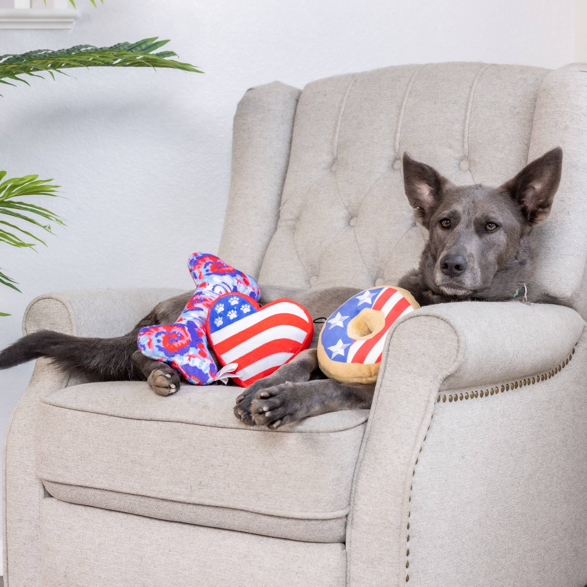 Huxley & Kent - Paws & Stripes Heart Dog Toy