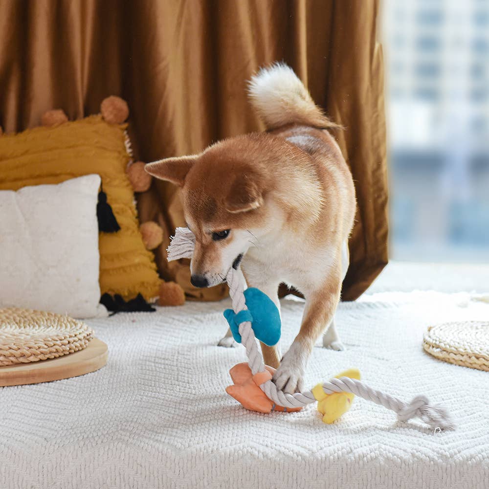 Hugsmart Products Inc - HugSmart Pet - Pirate Pups    | Shell Necklace - Rope Toy