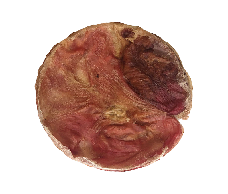 Home Range Pet Treats- Beef Bladder