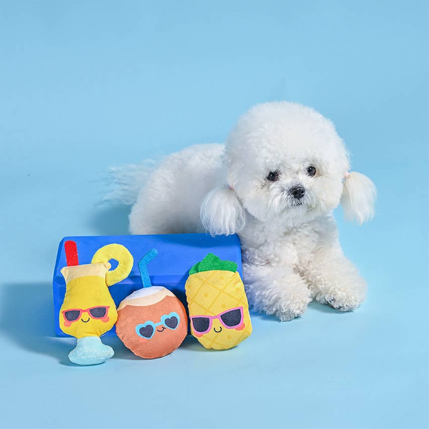 Hugsmart Products Inc - Food Party Pina Cola Dog Plush Toy