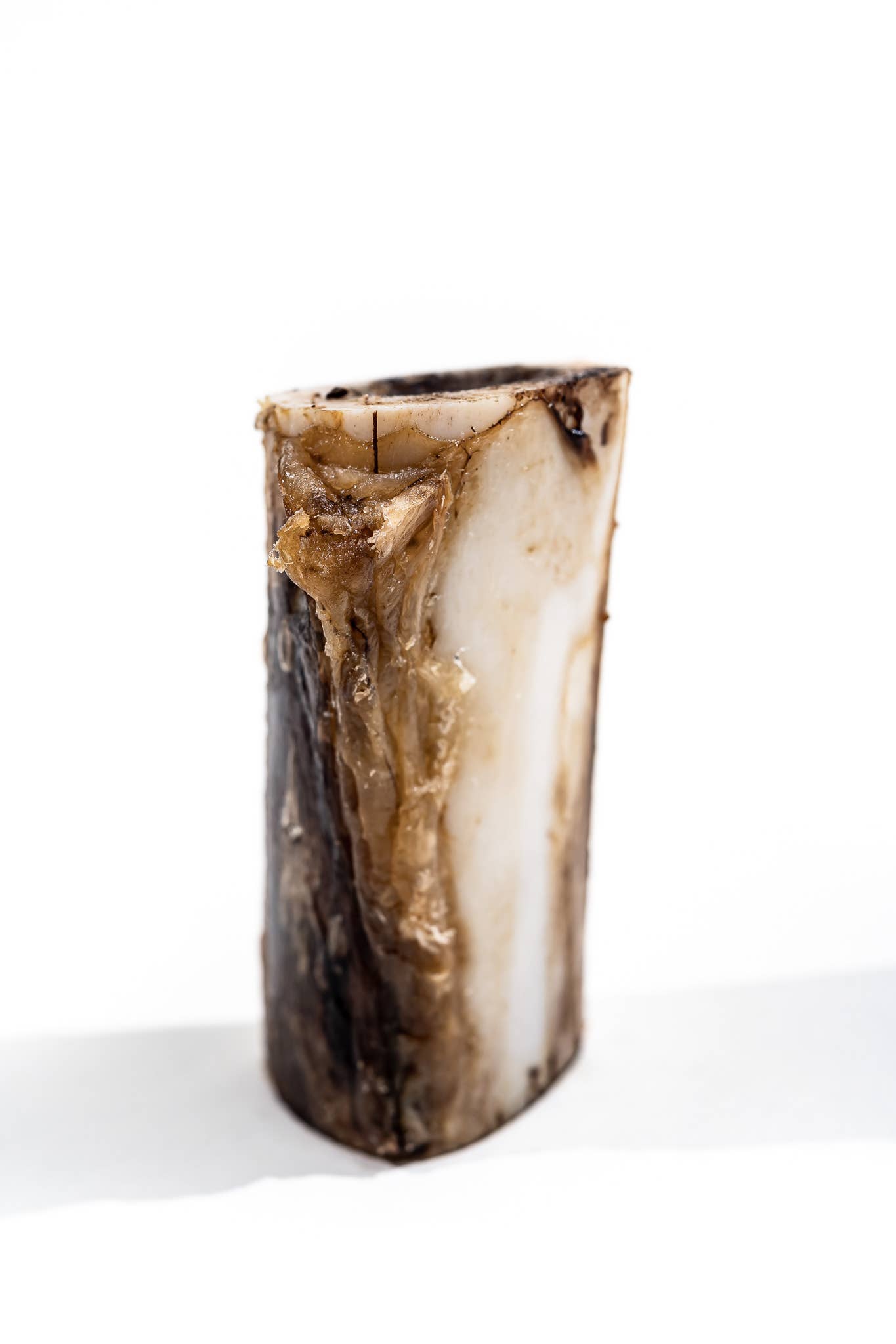 Winnie Lou - Bison Marrow Bone - 4"