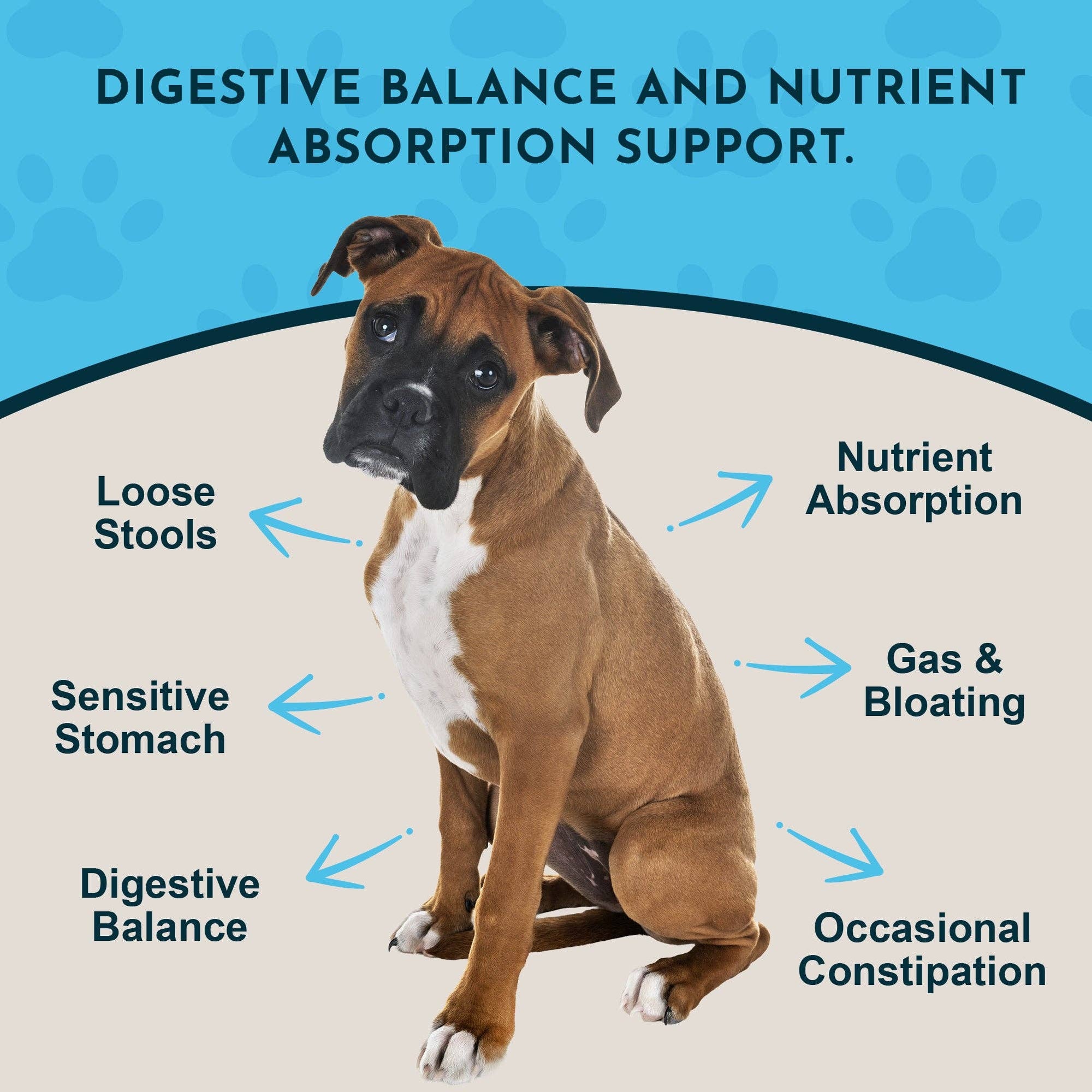 Animal Essentials - Plant Enzyme and Probiotic Powder | Digestive Support: 100g