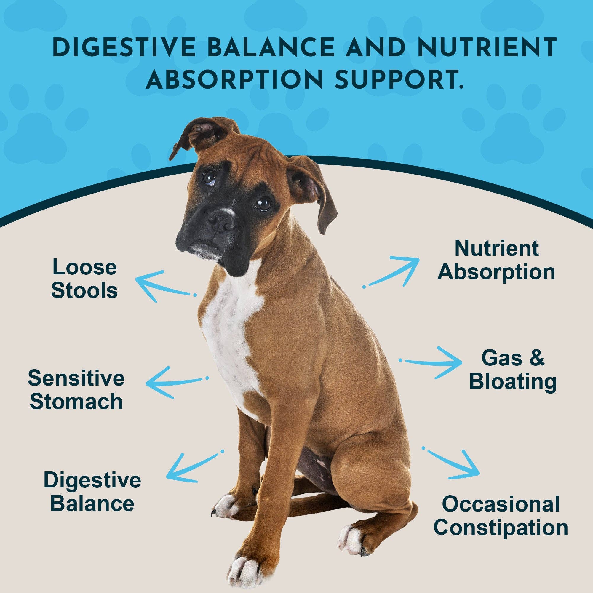 Animal Essentials - Plant Enzyme and Probiotic Powder | Digestive Support: 100g