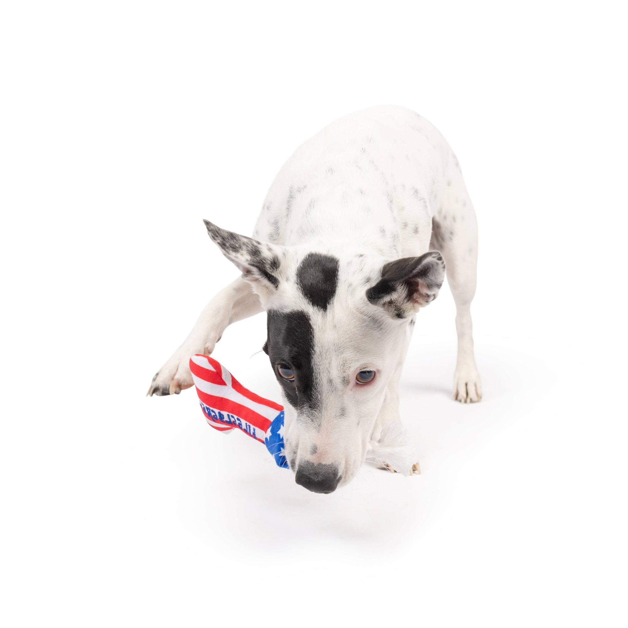 Huxley & Kent - Tiny Tuff Lil' Firecracker Bone