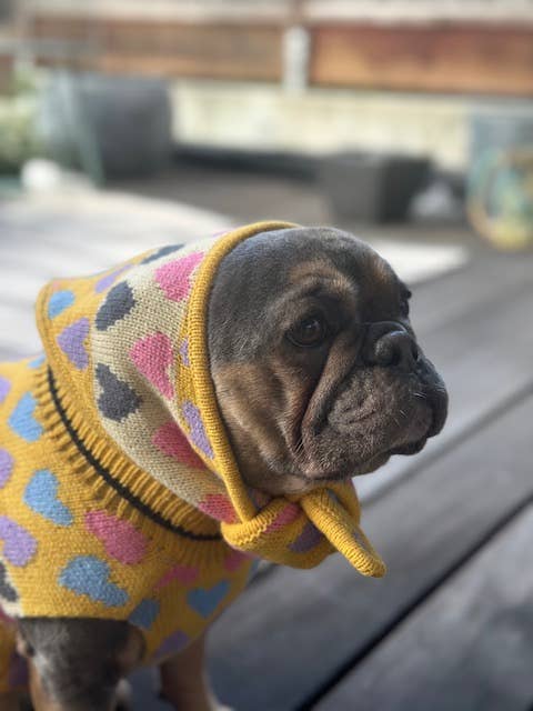 Finnegan’s Standard Goods - Candy Hearts Bandana/Scarf