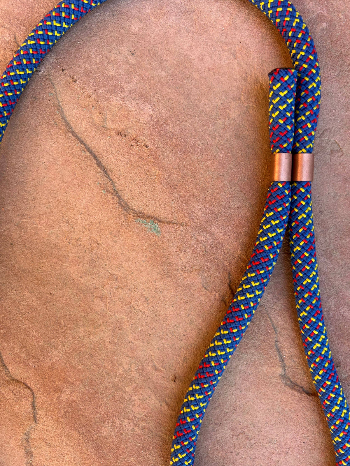Joshua Tree Leash & Lead - New Toy
