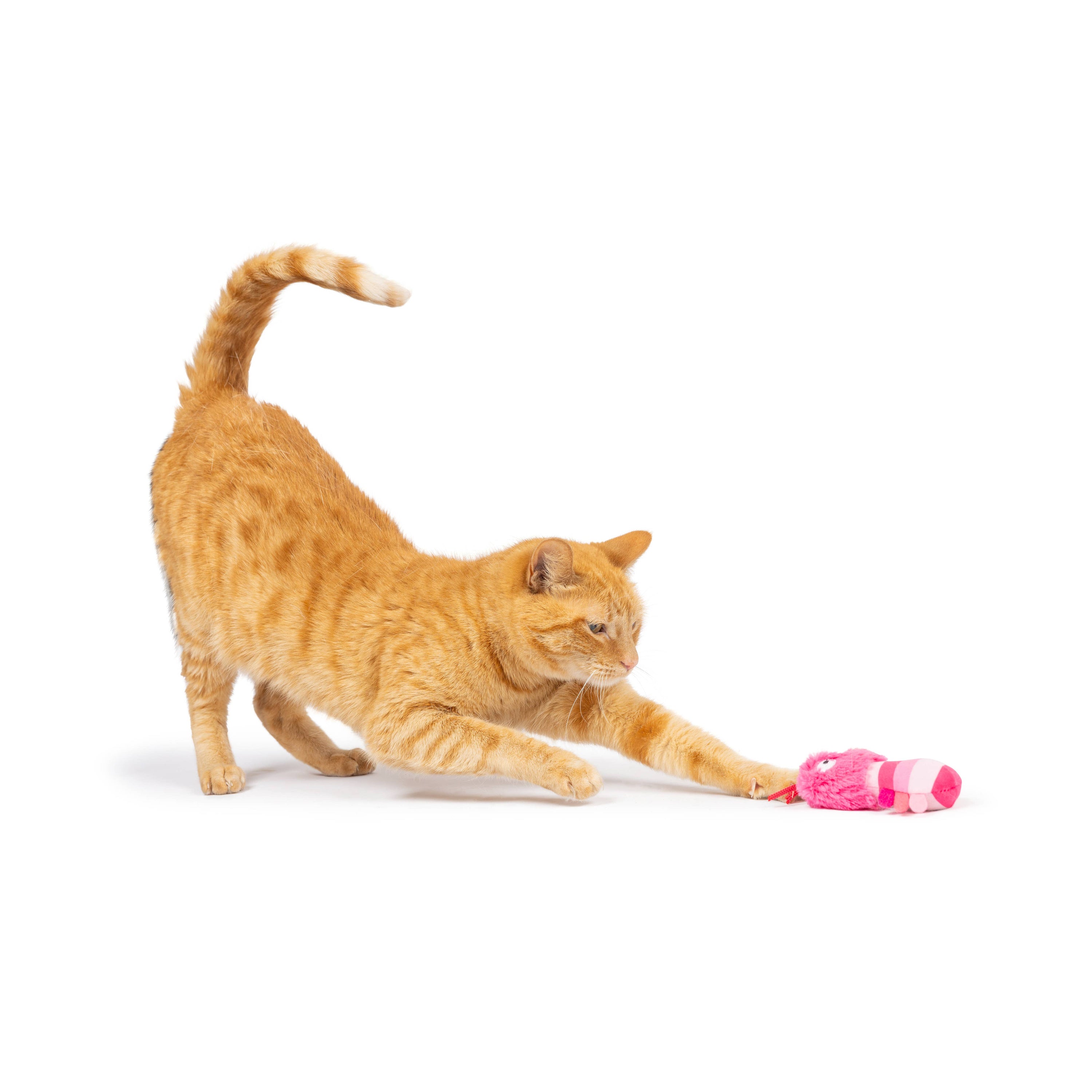 Huxley & Kent - Love Bugs 2pk Cat Toy: One Size