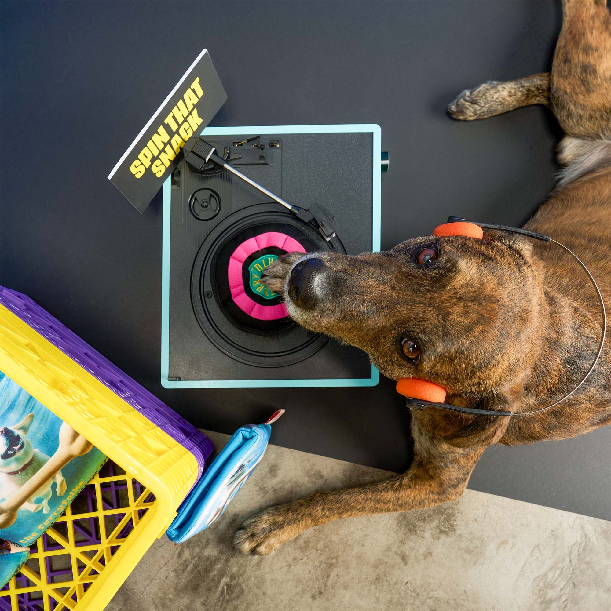 the furryfolks - Vinyl Nosework Toy