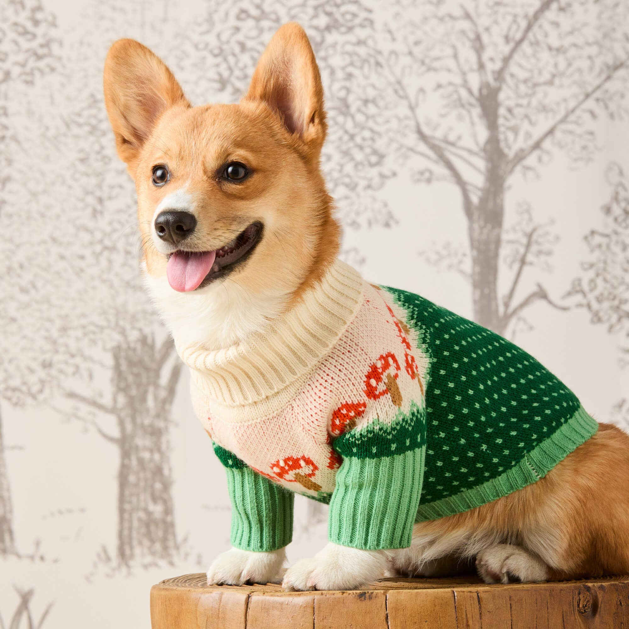 The Foggy Dog - Toadstool Dog Sweater: XXL