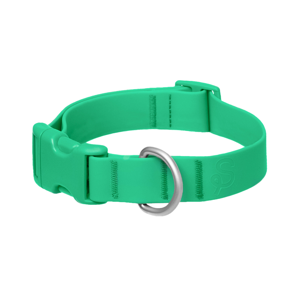Springland Pets - Waterproof & Adjustable Dog Collar (6 Pack): Blueberry (6 Pack)
