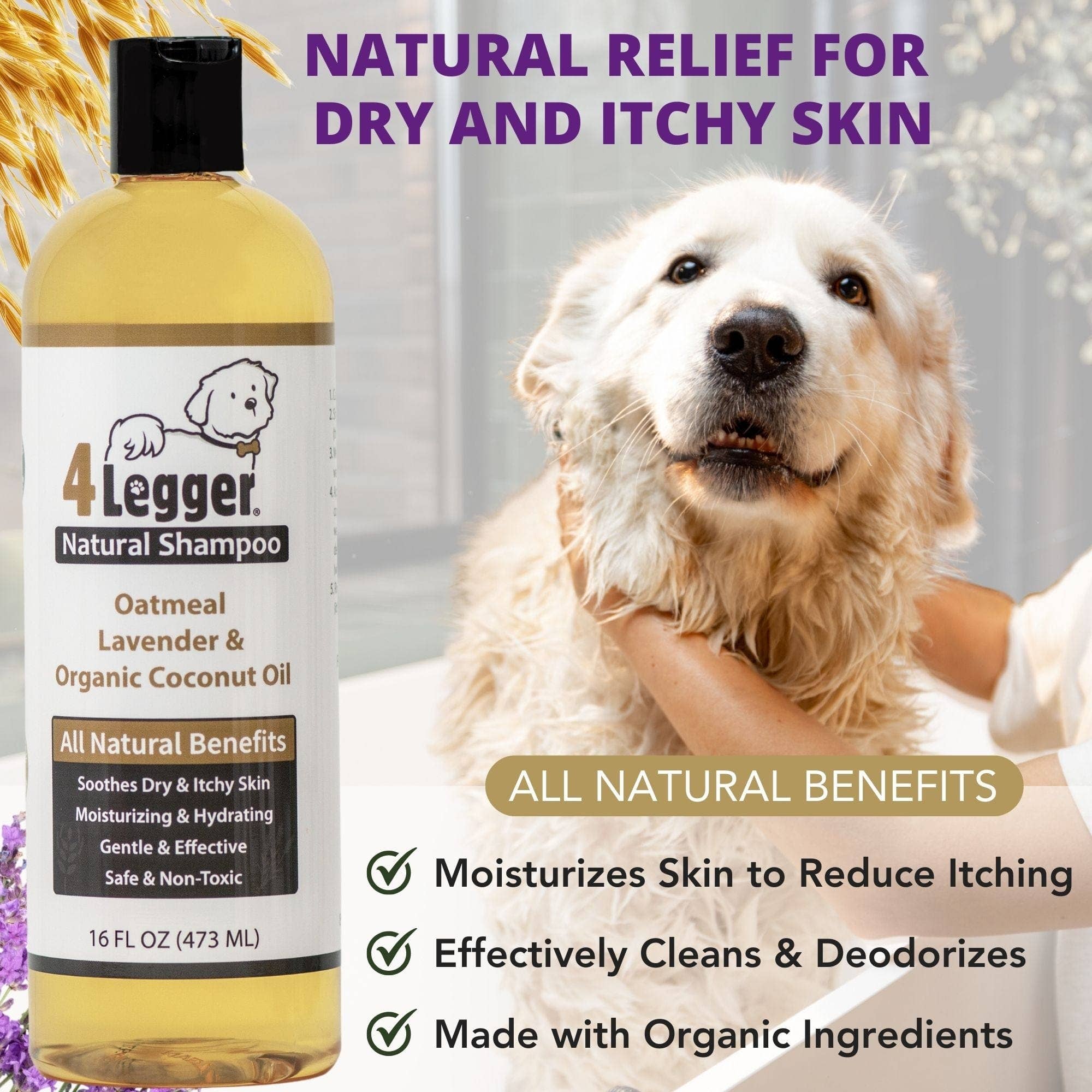 4-Legger - Organic Oatmeal Dog Shampoo with Lavender and Aloe: (16 oz)