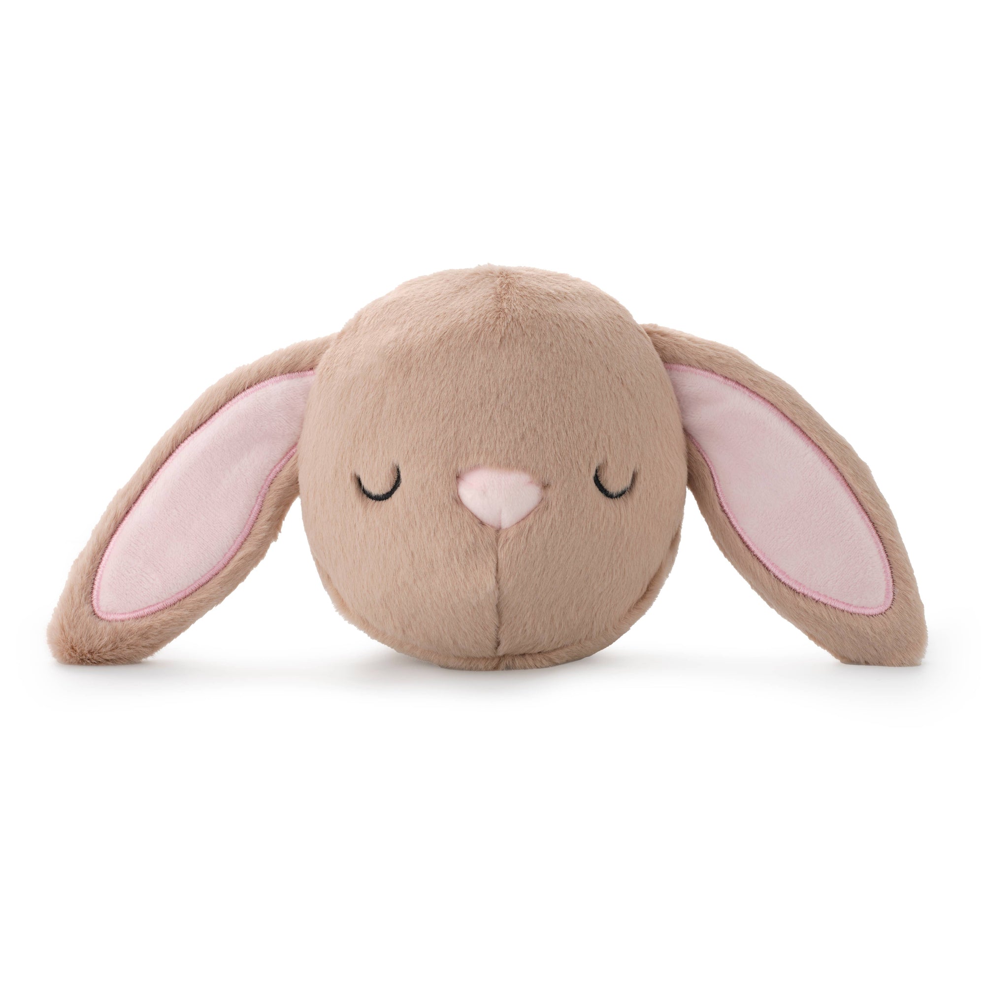 The Foggy Dog - Bunny 2-in-1 Bounce Dog Toy