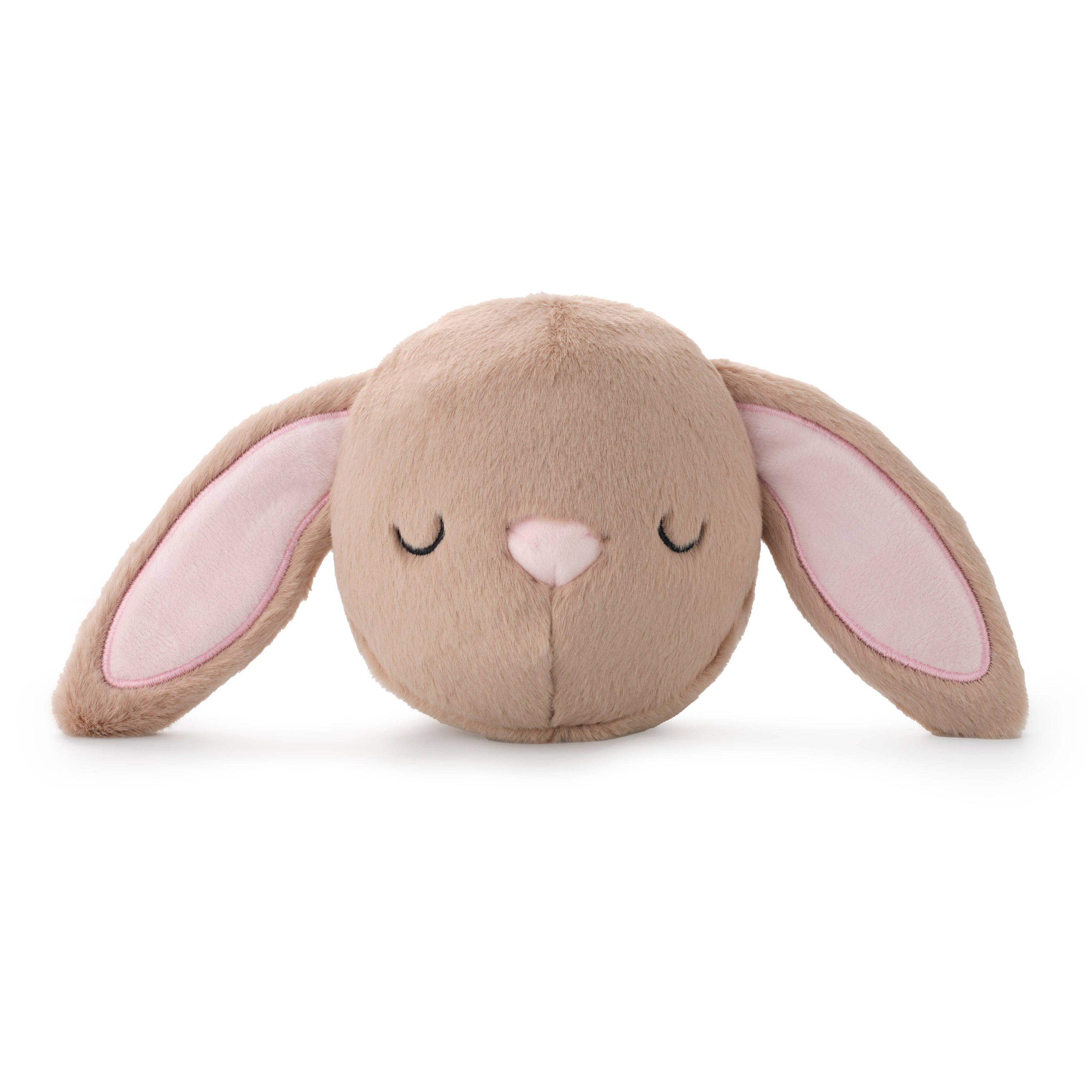 The Foggy Dog - Bunny 2-in-1 Bounce Dog Toy