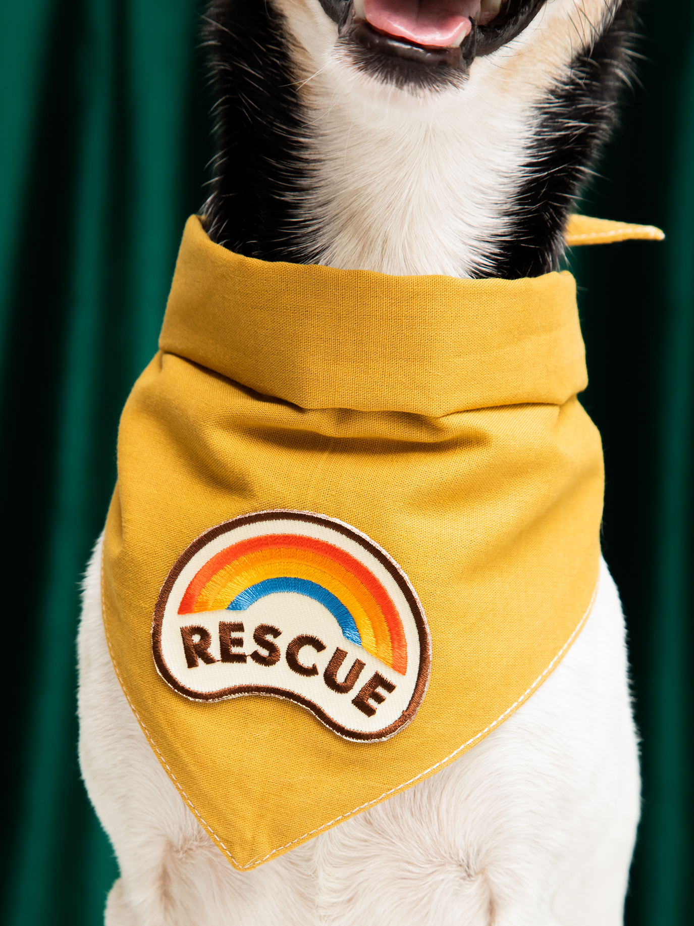 Scout's Honour Pty Ltd - Rescue iron-on patch for dogs and cats