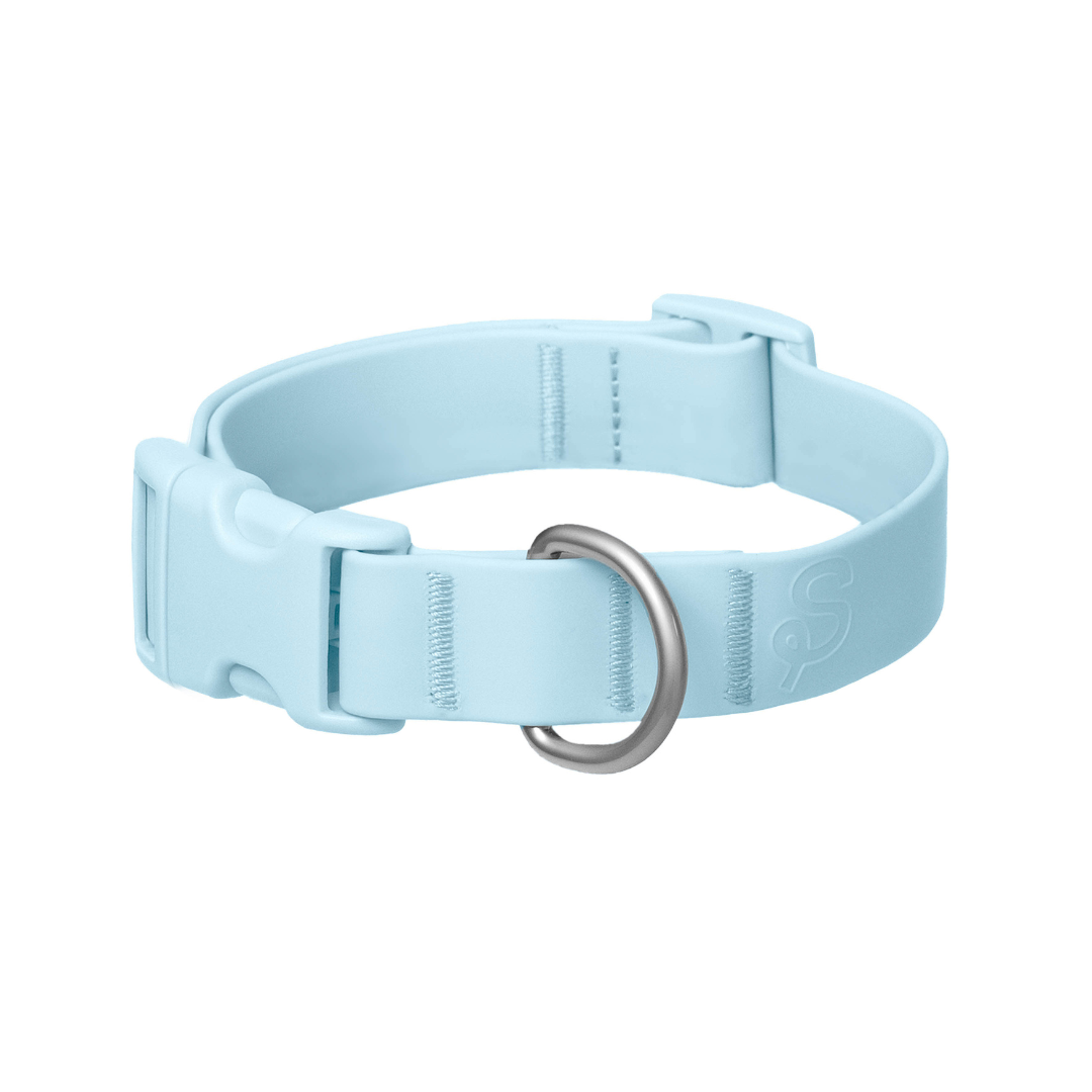Springland Pets - Waterproof & Adjustable Dog Collar (Small, Medium, Large)