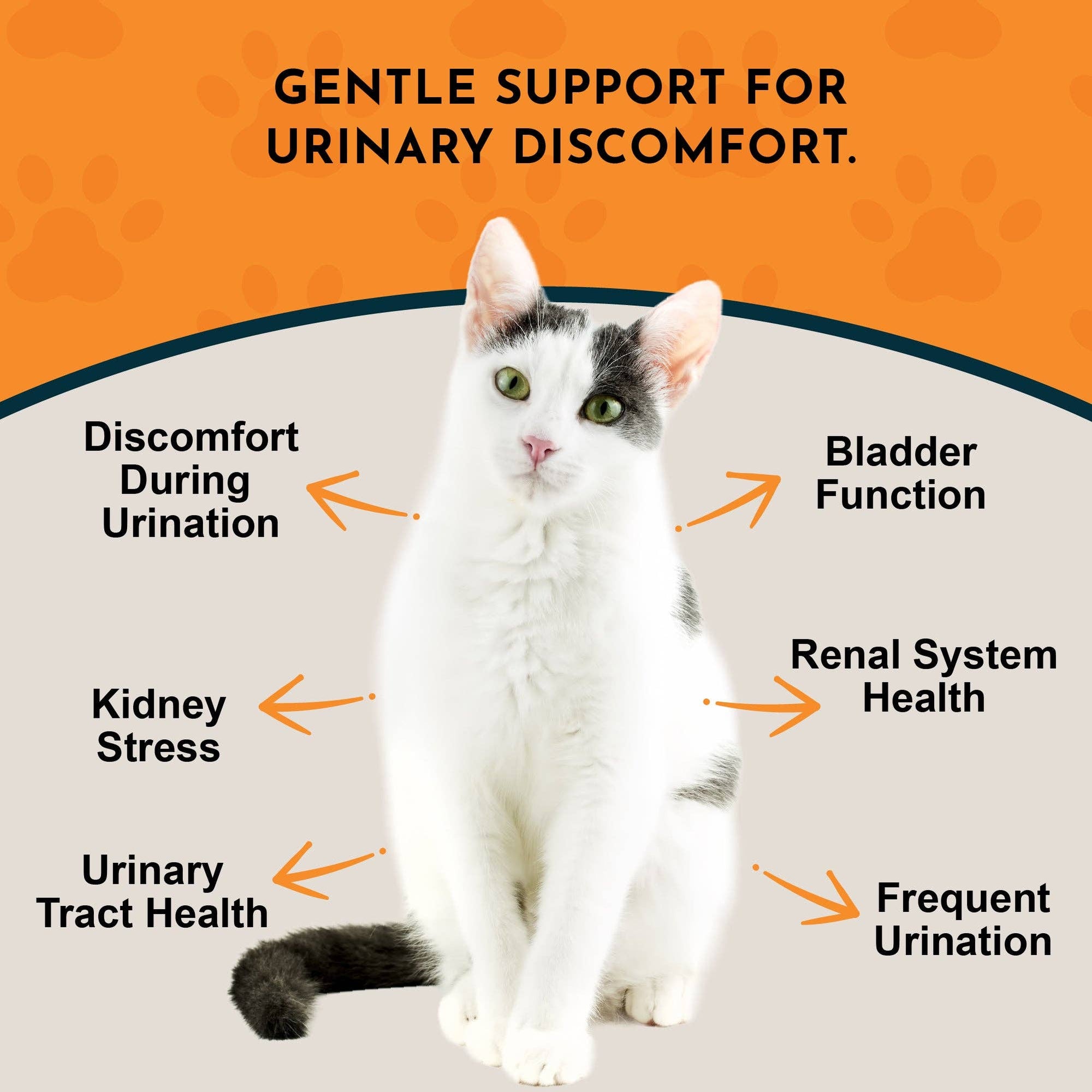 Animal Essentials | Tinkle Tonic Herbal Tonic Blend | Urinary Tract Support: 1oz