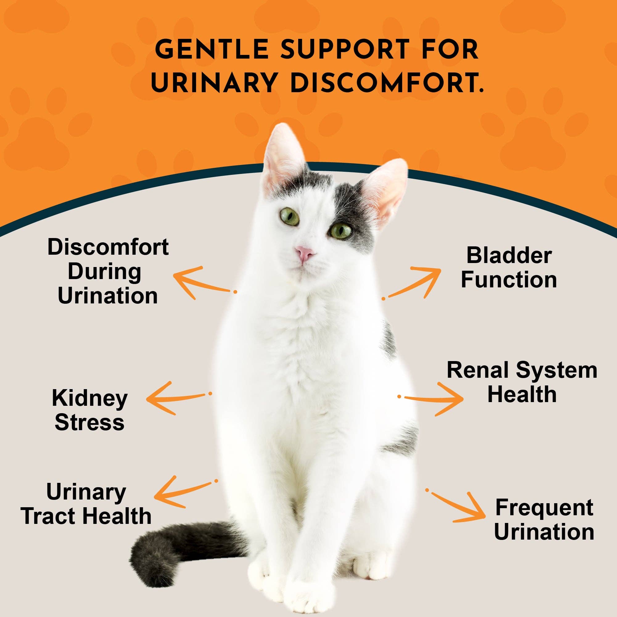 Animal Essentials | Tinkle Tonic Herbal Tonic Blend | Urinary Tract Support: 1oz