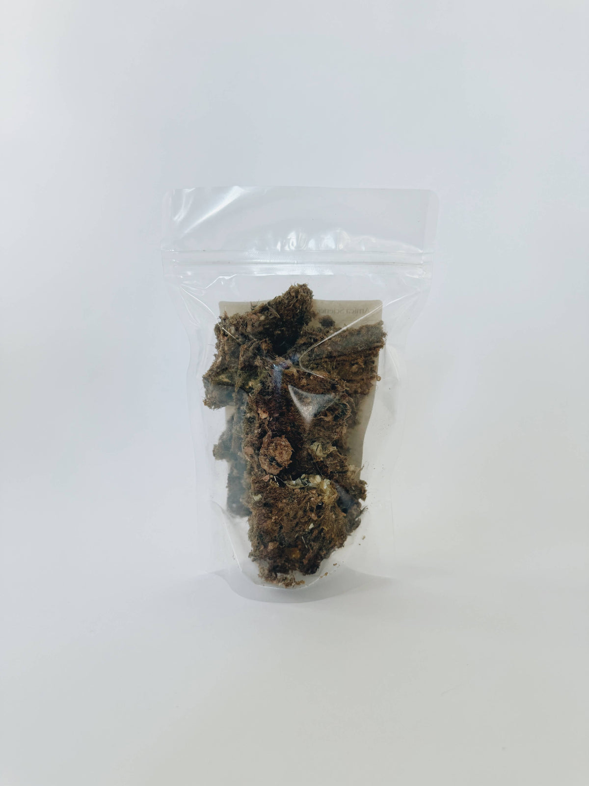 Amica Science - Animal Crackers - Quail