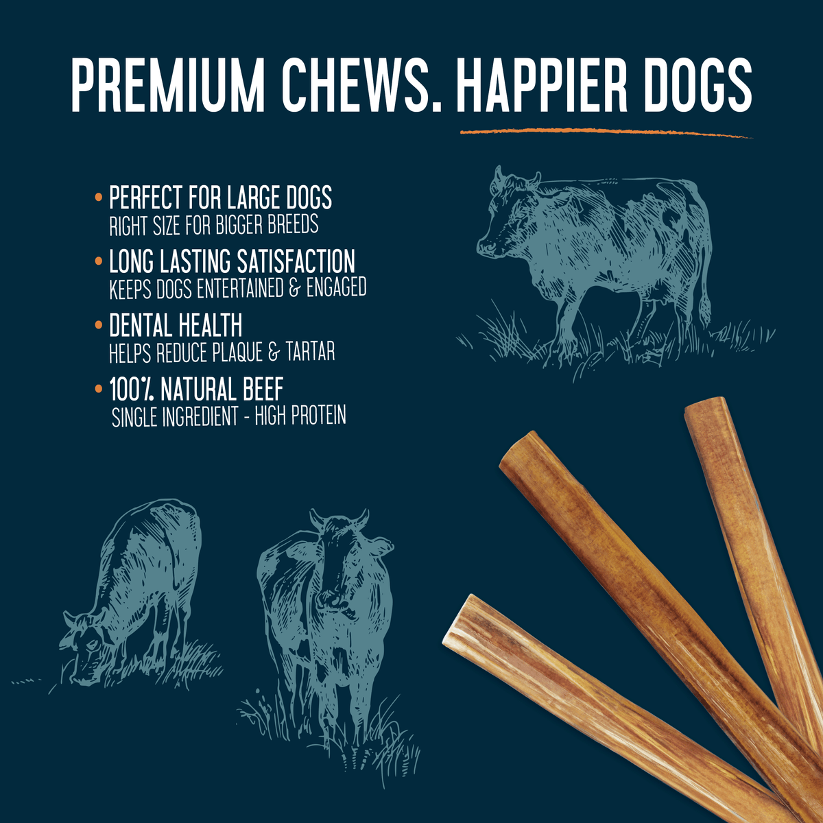 Dogginstix | Standard Bully Sticks (12")