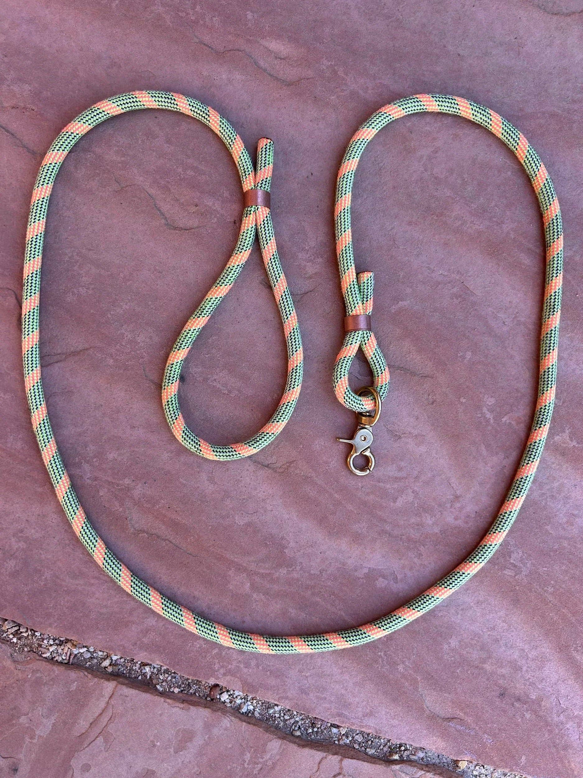 Joshua Tree Leash & Lead - Safety Pin