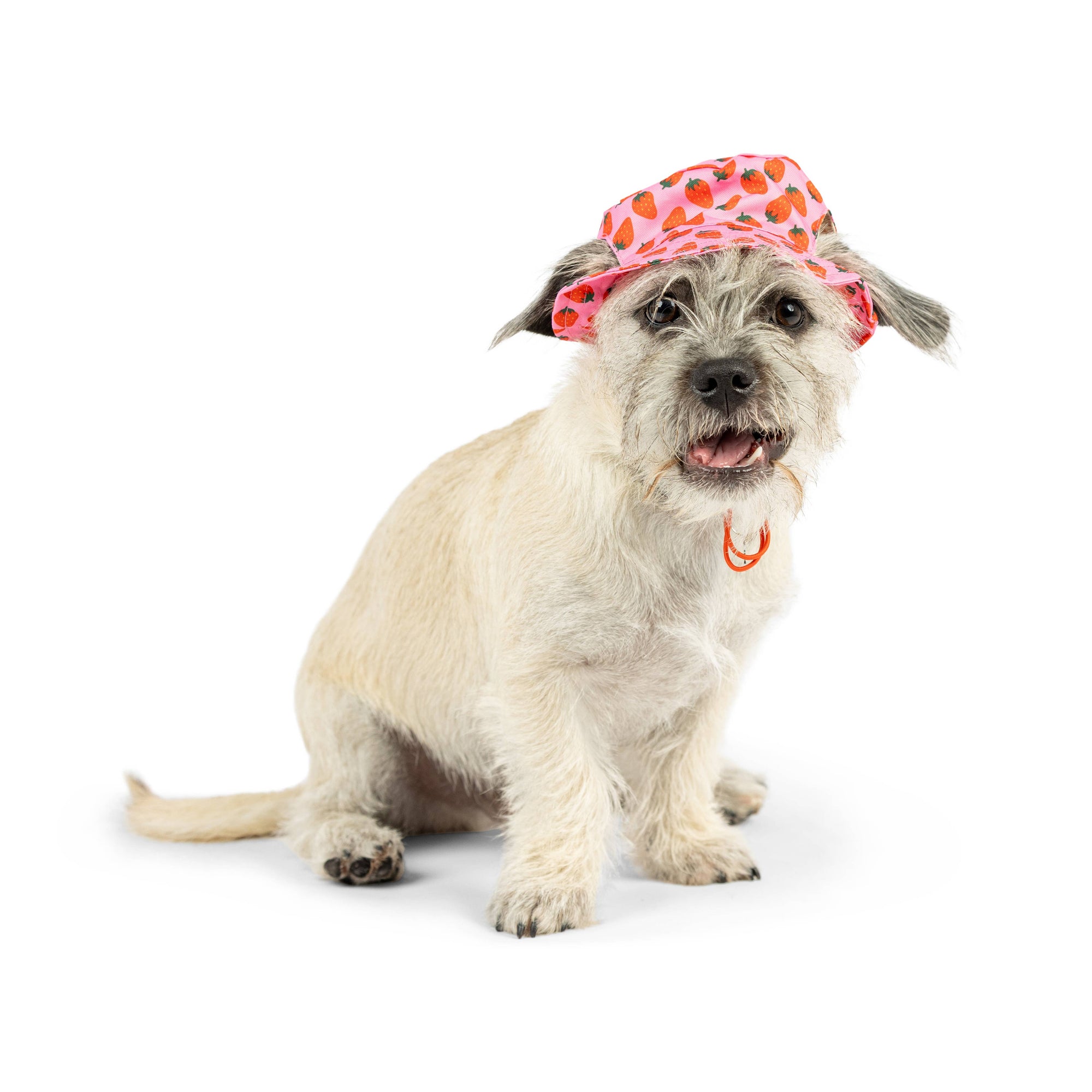 Huxley & Kent - Bucket Hats with SnugFit®: Strawberries (Extra Large)