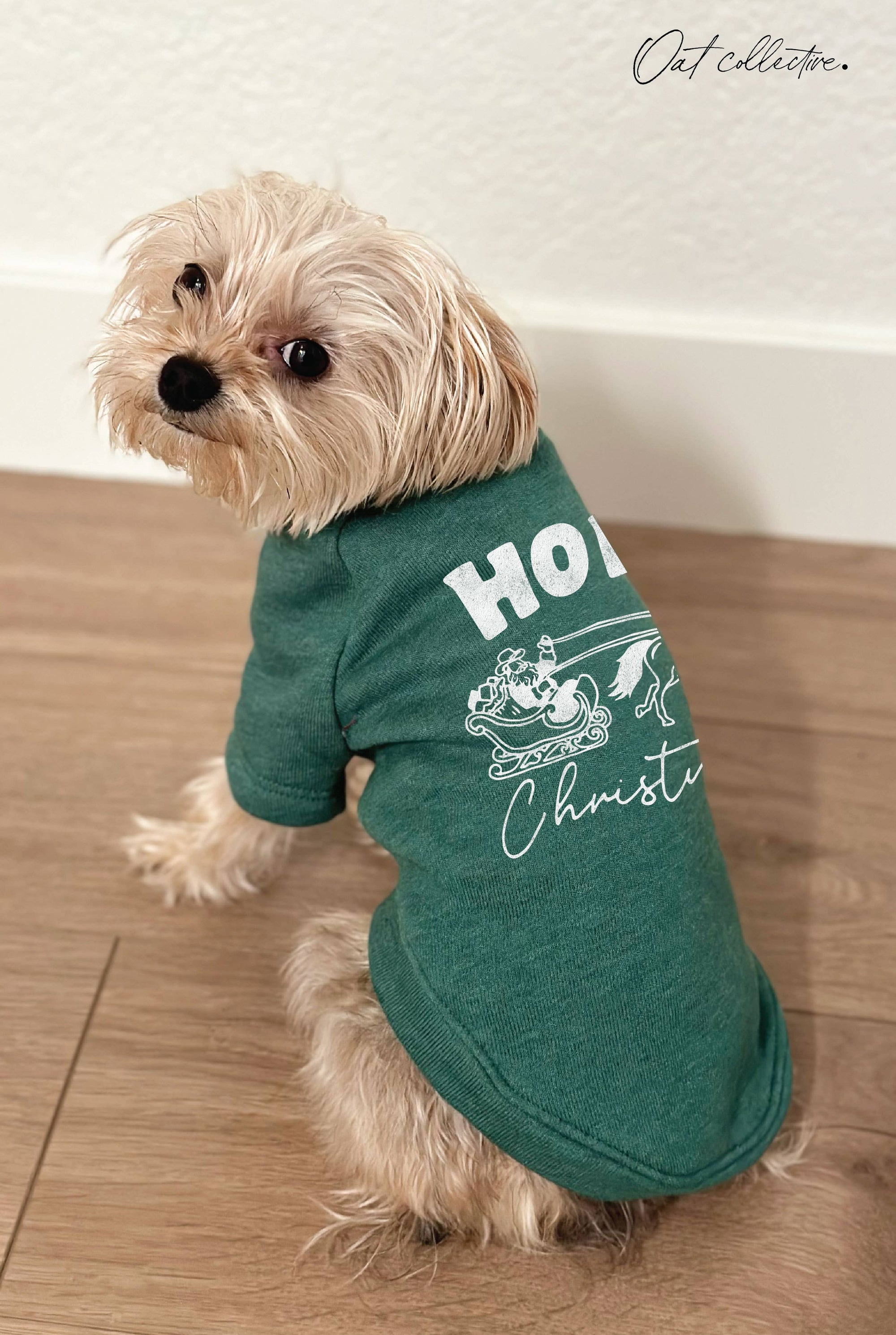 OAT COLLECTIVE - HOWDY CHRISTMAS Pet Graphic Sweatshirt.: HEATHER CRANBERRY / S