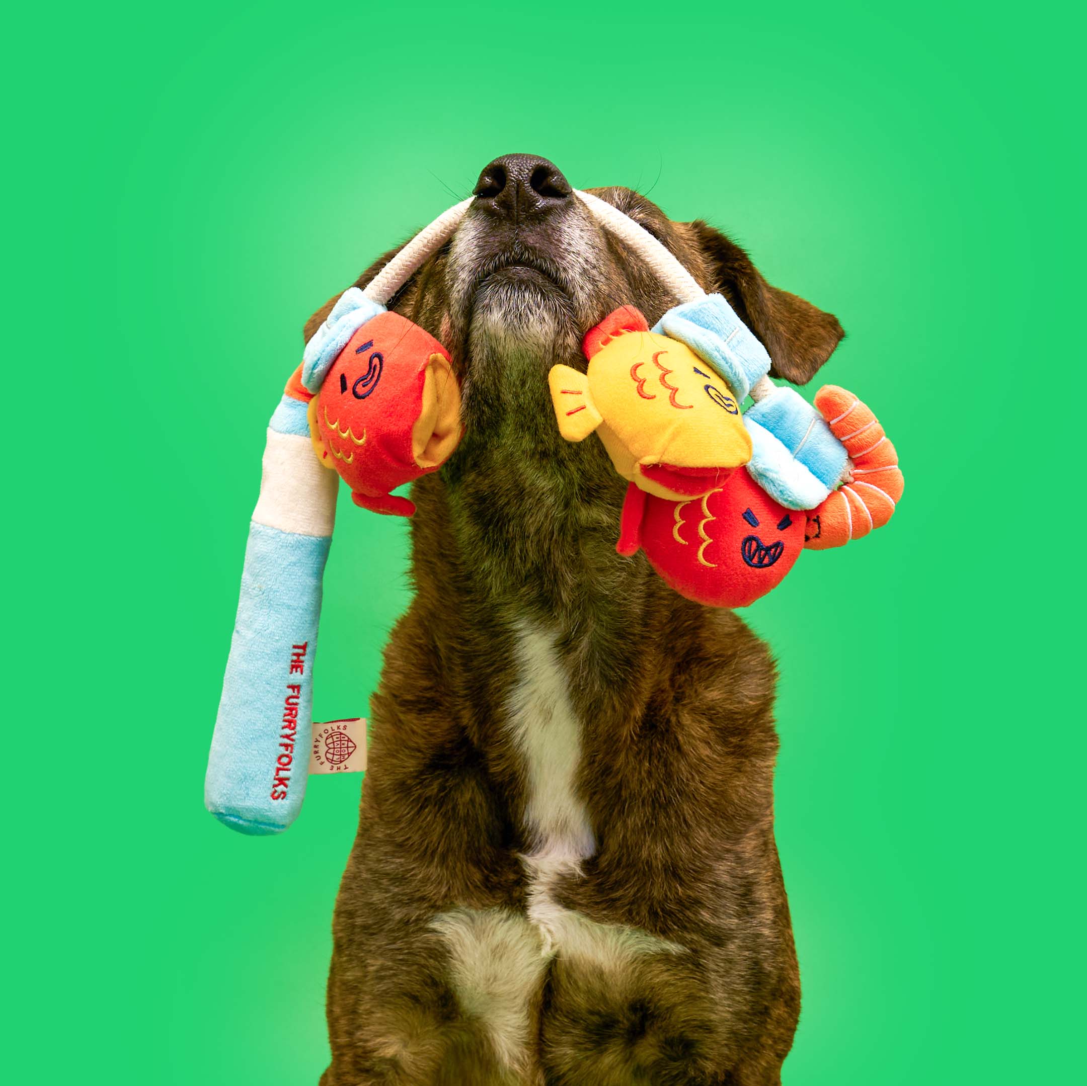 the furryfolks - Fishing Nosework & Tug Toy