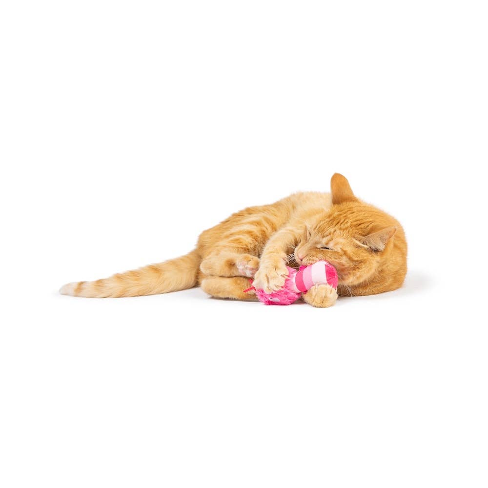 Huxley & Kent - Love Bugs 2pk Cat Toy: One Size
