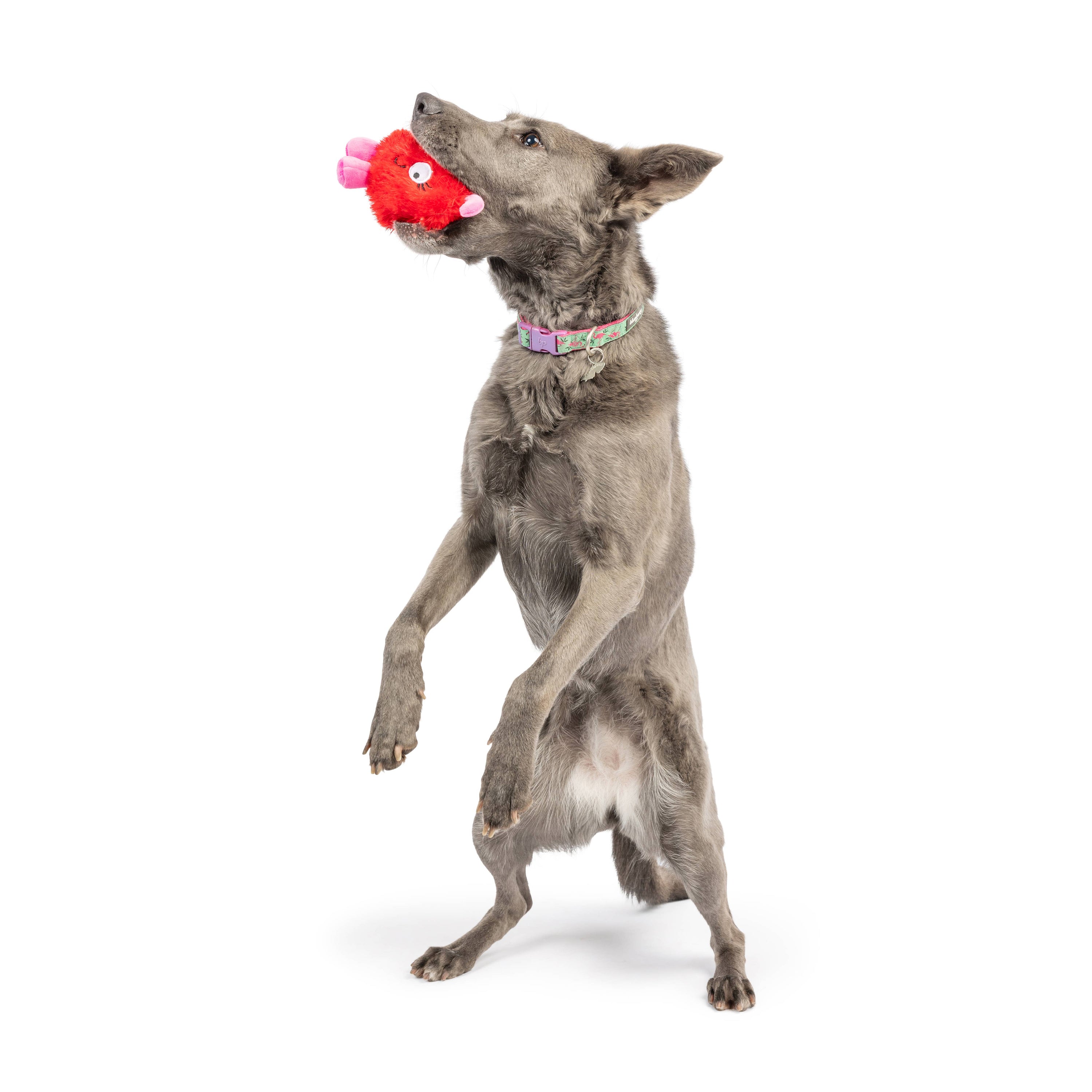 Huxley & Kent - Fur Bug Dog Toy: One Size