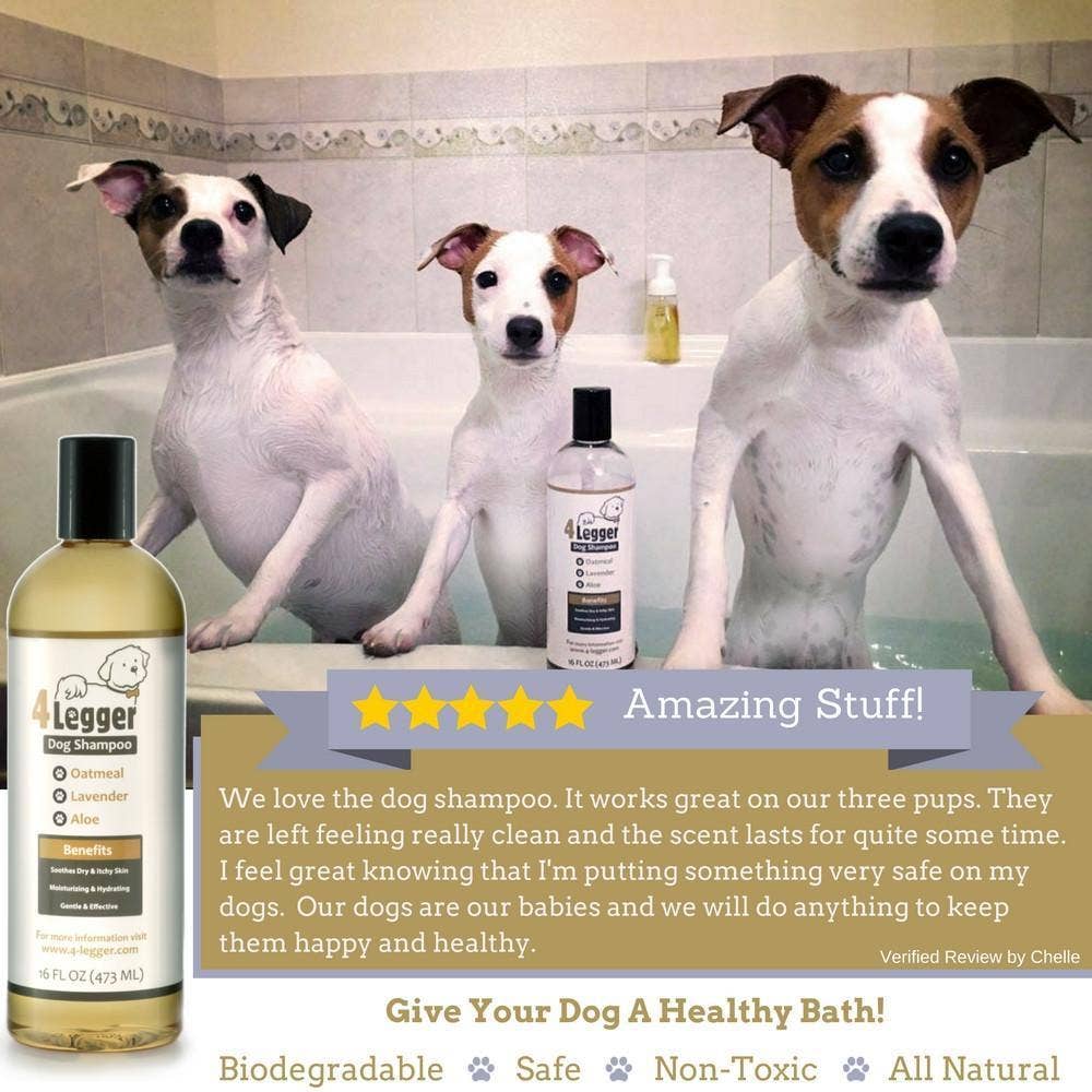 4-Legger - Organic Oatmeal Dog Shampoo with Lavender and Aloe: (16 oz)