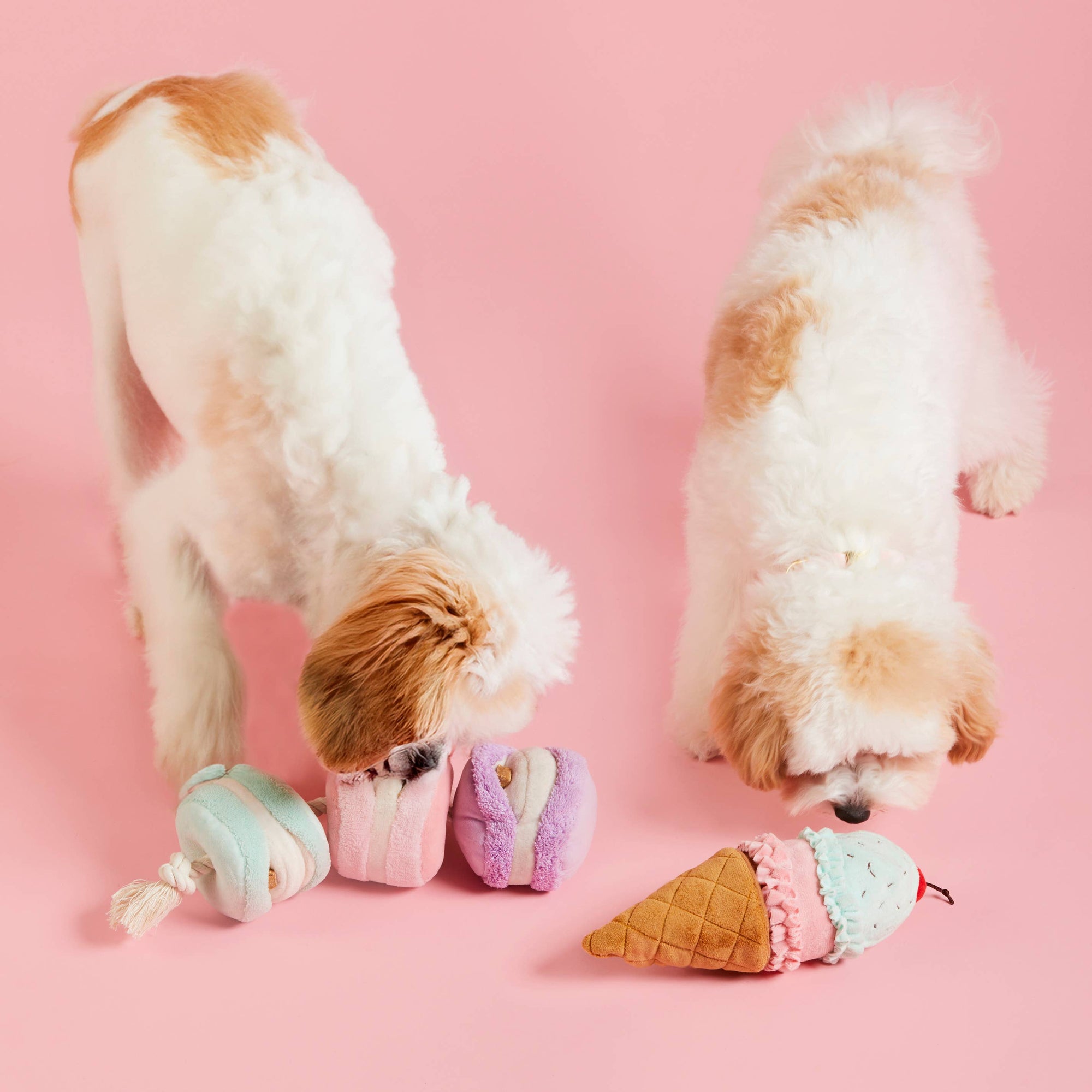 The Foggy Dog - Ice Cream Interactive 2-in-1 Bounce Dog Toy