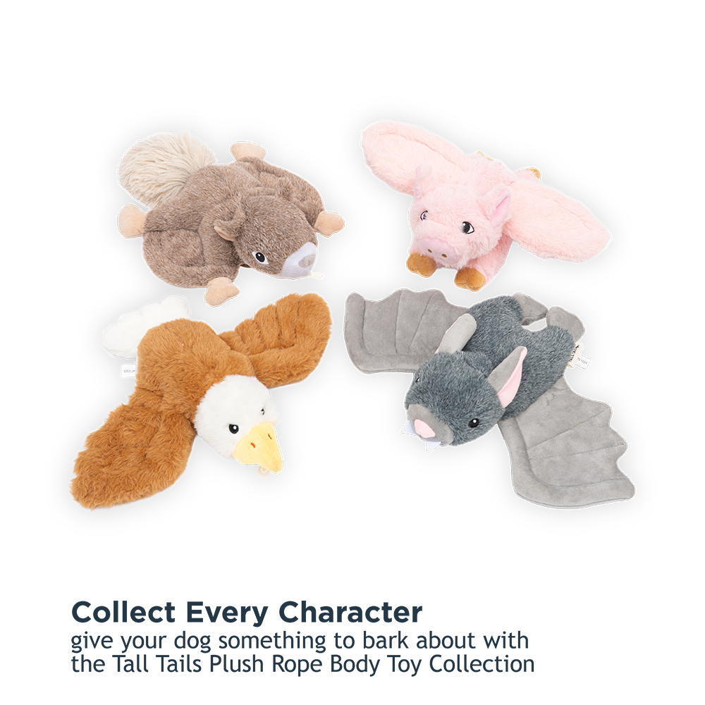 Tall Tails - Eagle Fling and Fly Toy for Dogs