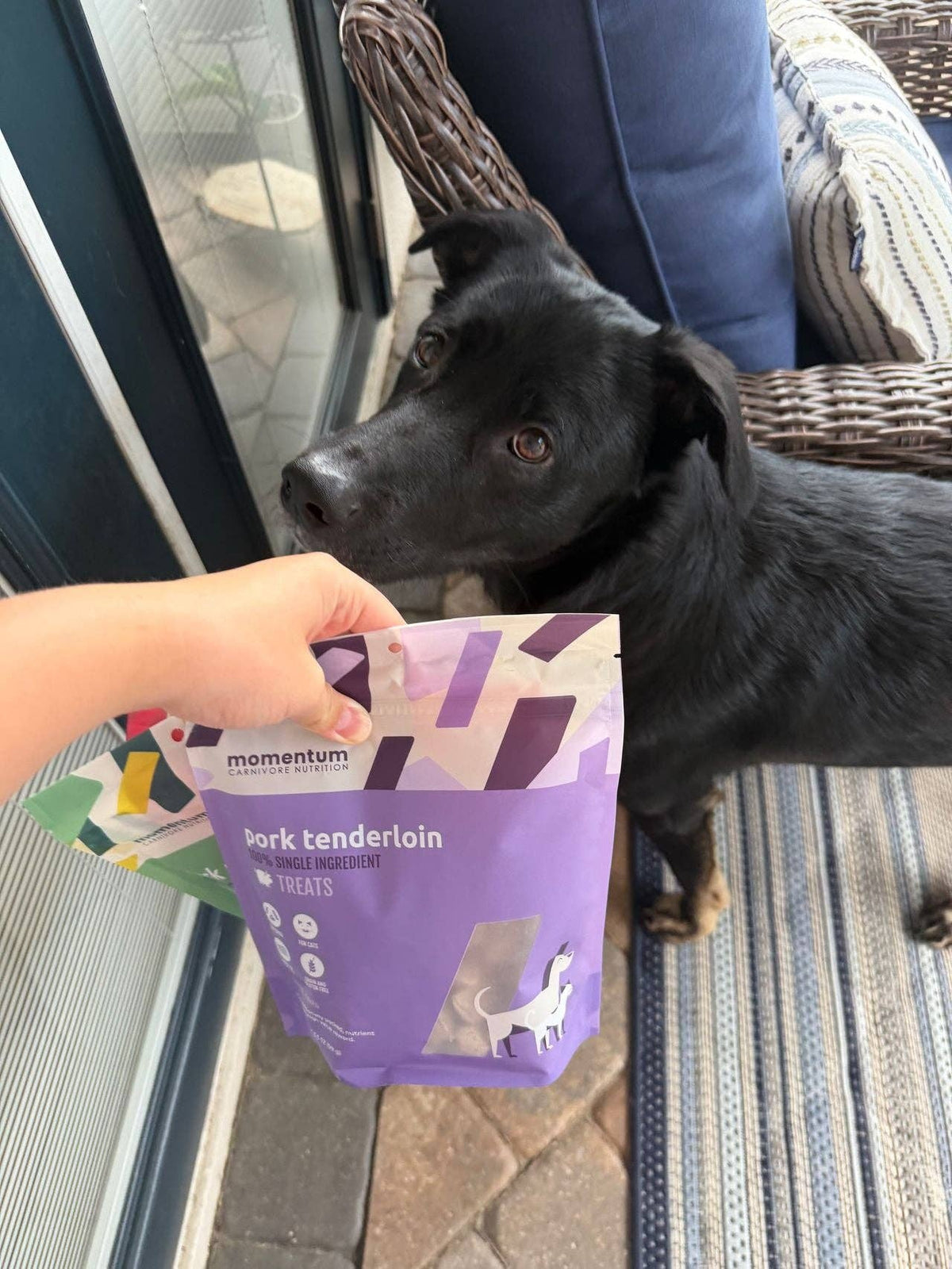 Momentum Carnivore Nutrition | Freeze-Dried Pork Tenderloin Treats for Dogs & Cats (3.5 oz)