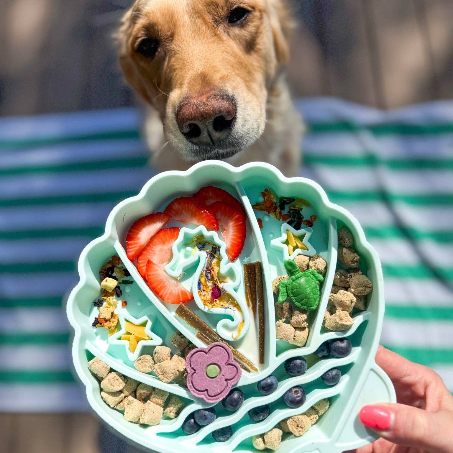 Pawsome Tails - Seashell Slow Feeder Bowl Seafoam