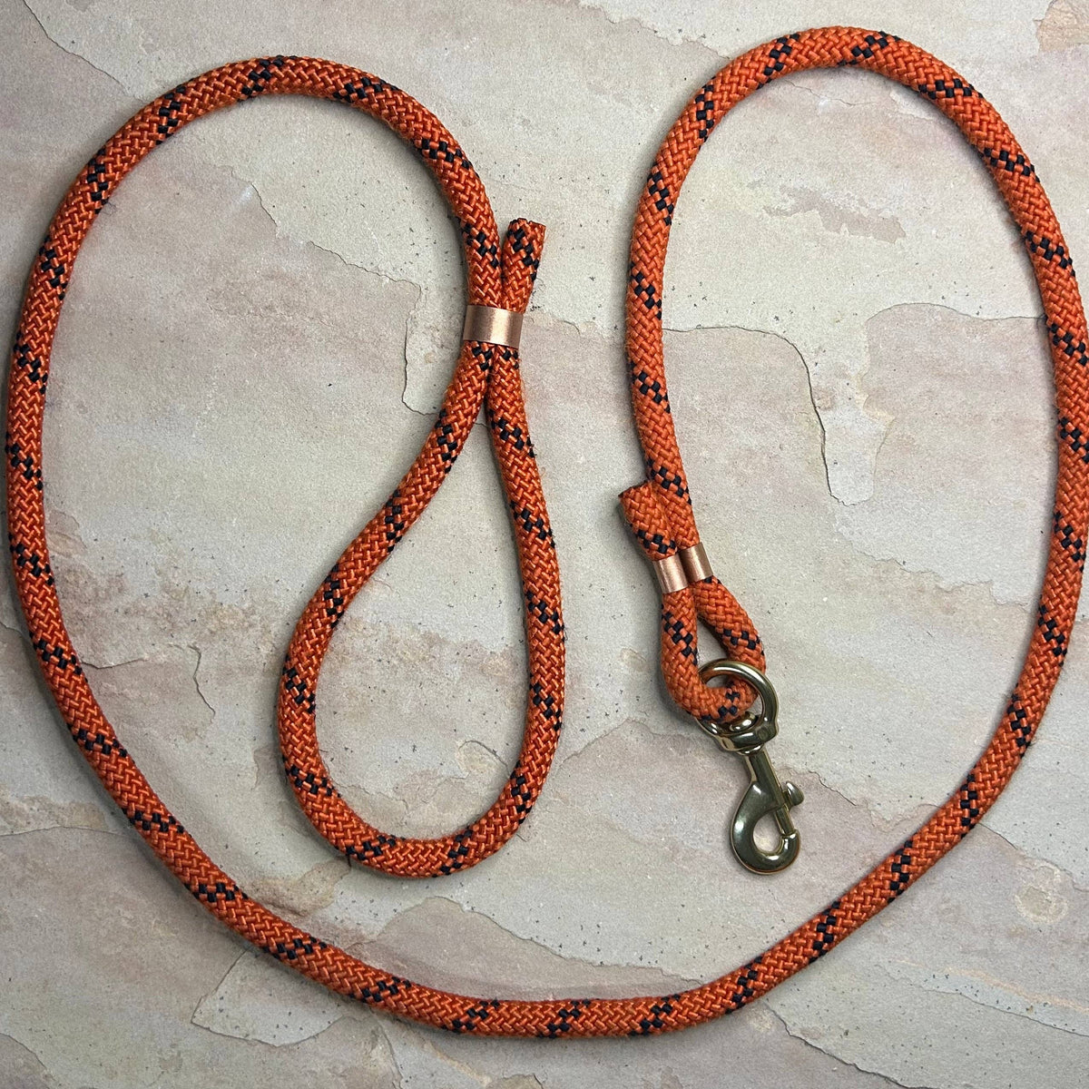 Joshua Tree Leash & Lead - Carving Pumpkins
