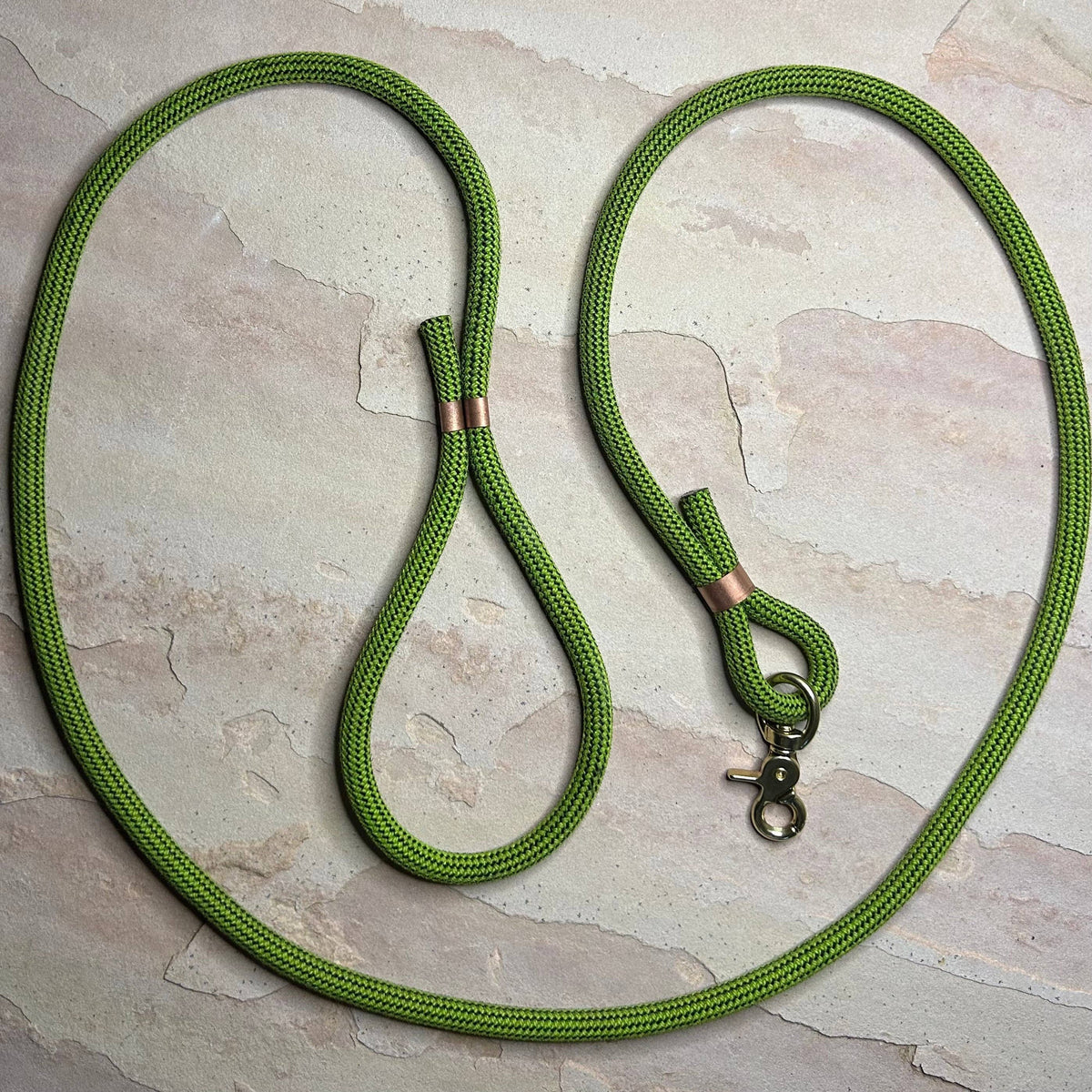 Joshua Tree Leash & Lead - Fighting The Slime