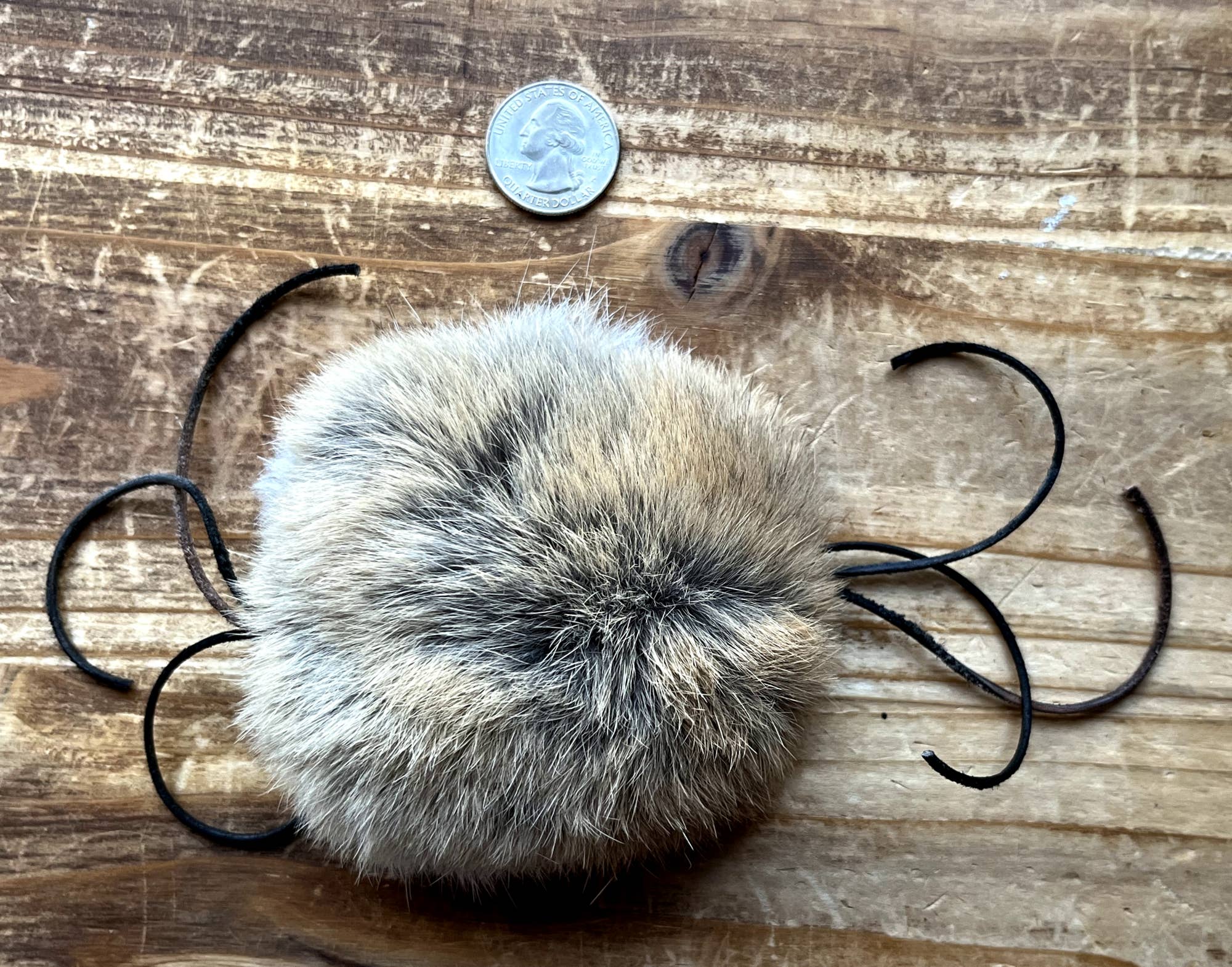 Whiskers 'n Paws Unique Pet Gifts, LLC - Furwhisker Cat Toy (FWCT-020)