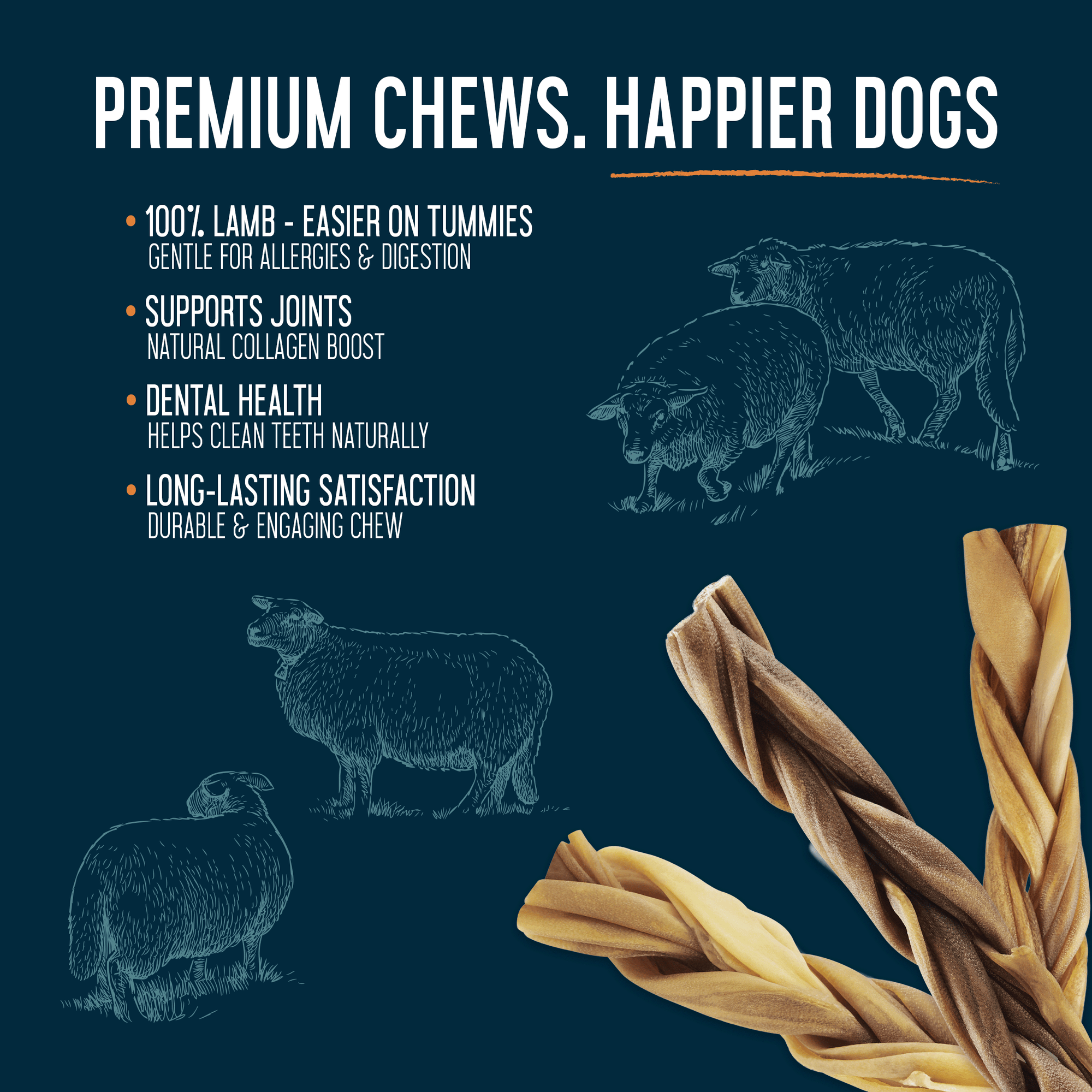 Dogginstix - 12" Braided Lamb Collagen Sticks