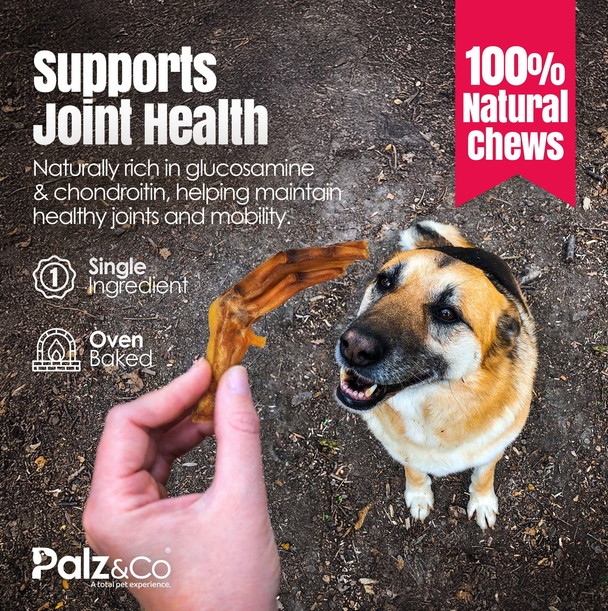 Palz&Co - Birddog Duck Feet (35 Pack)