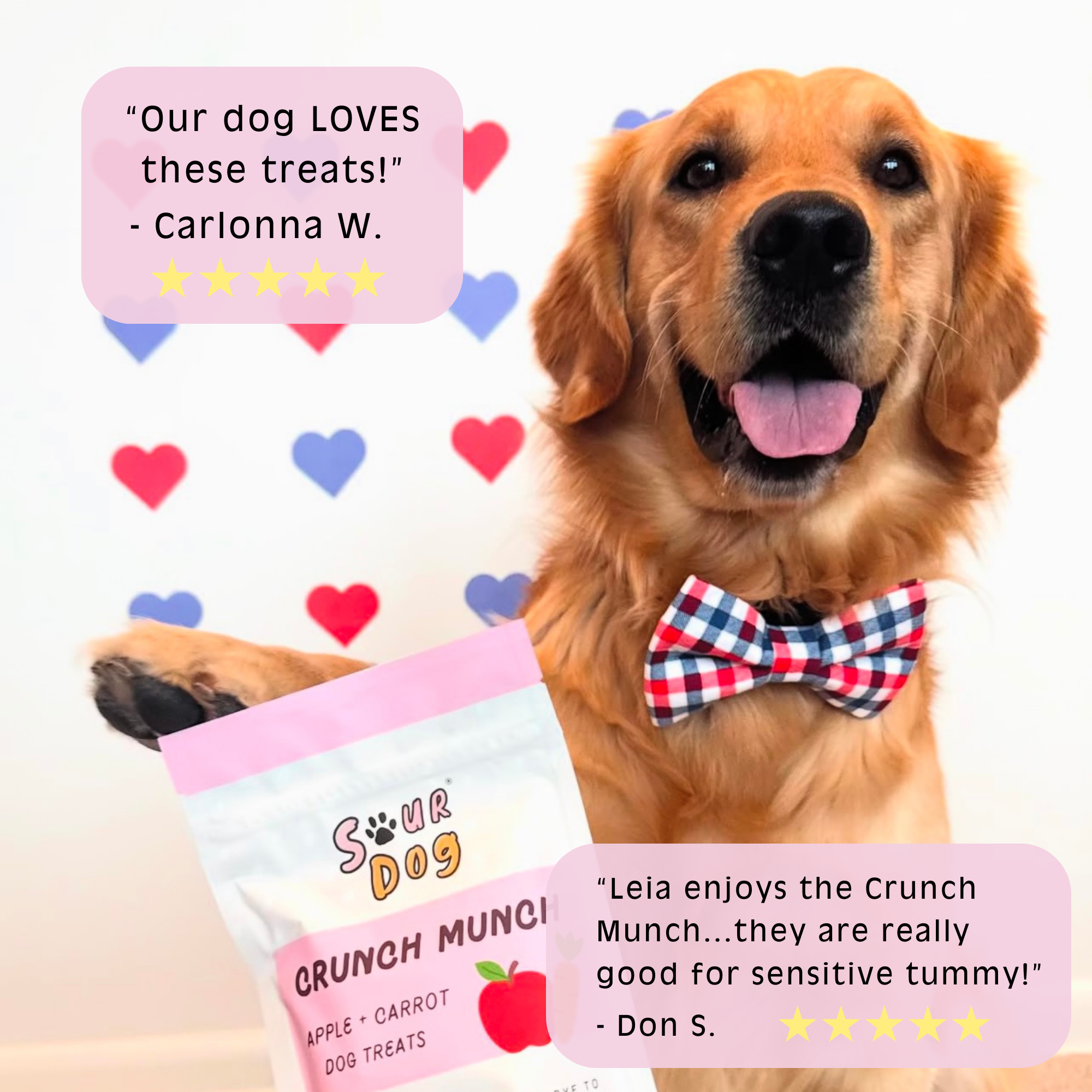 SourDog - Crunch Munch - Apple & Carrot Sourdough Dog Treats
