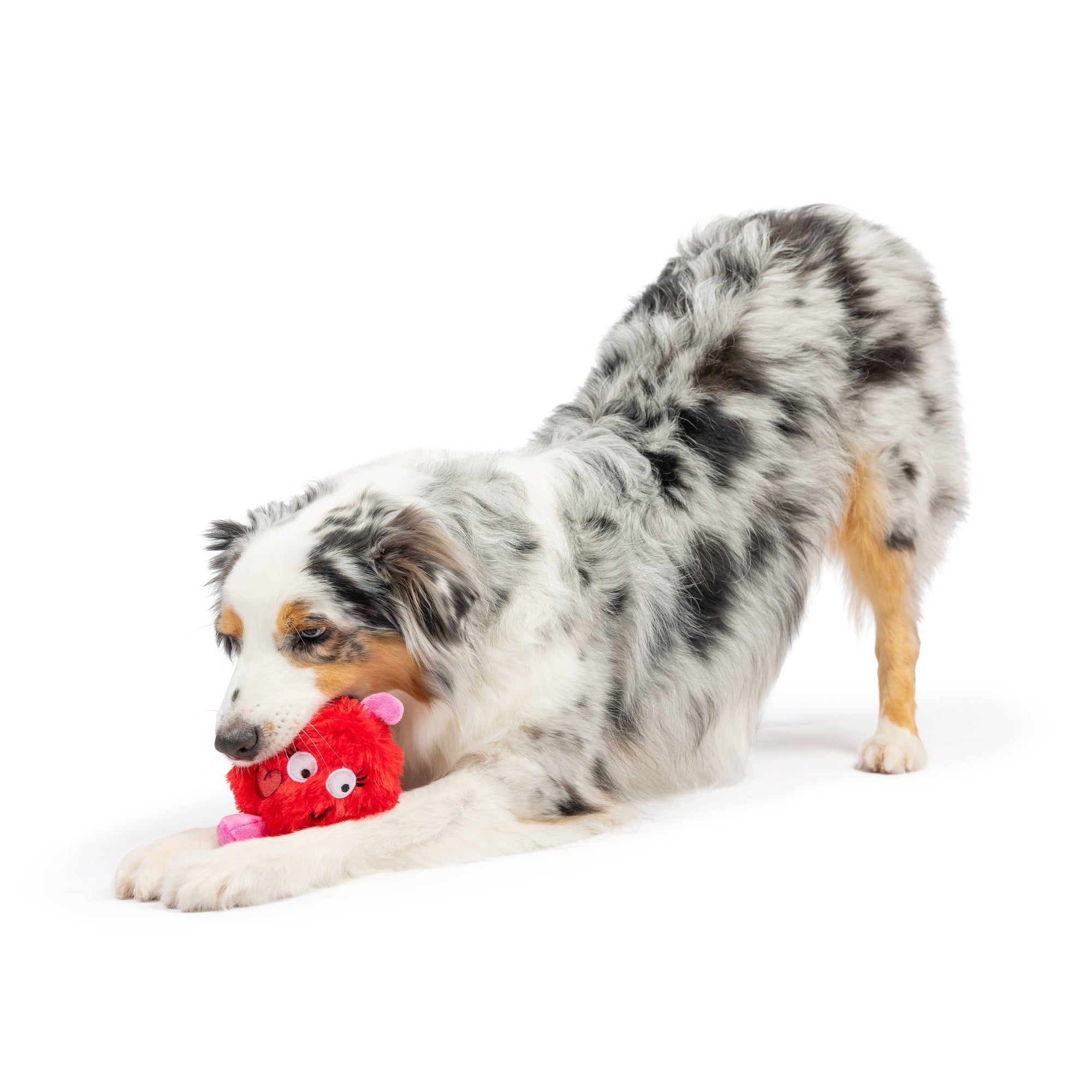 Huxley & Kent - Fur Bug Dog Toy: One Size